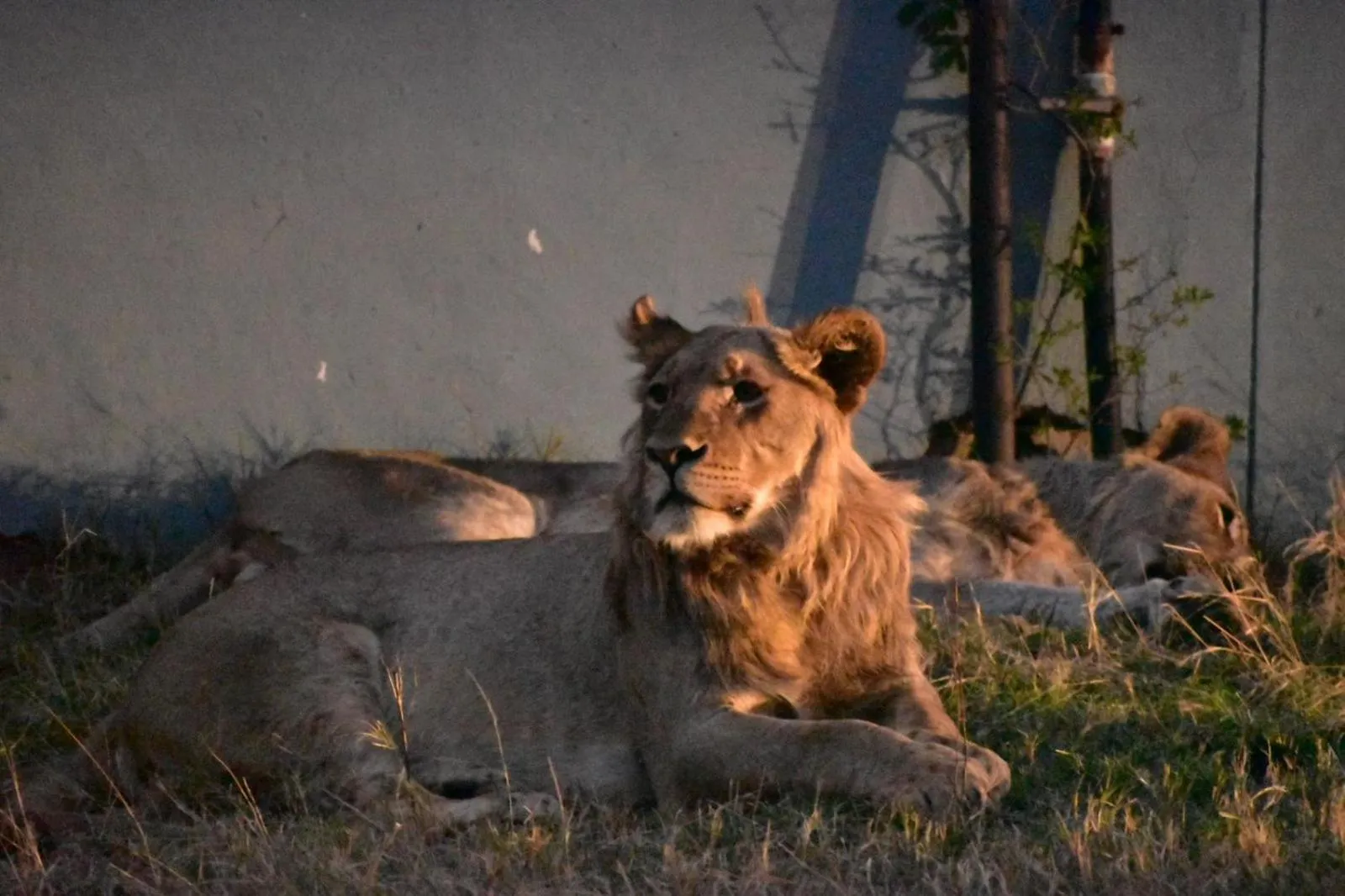 Natural landscape in Tamboti Bush Lodge