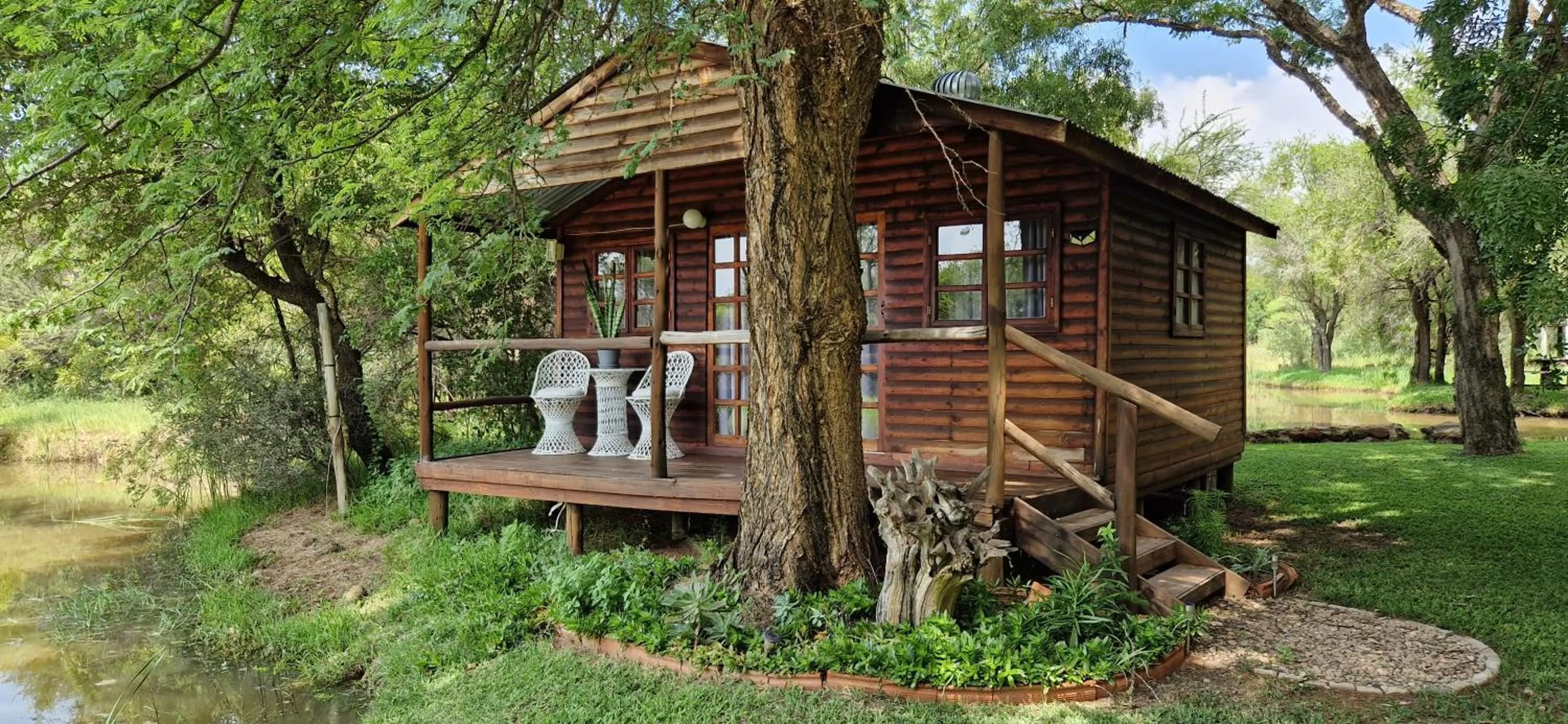 Natural landscape in Tamboti Bush Lodge
