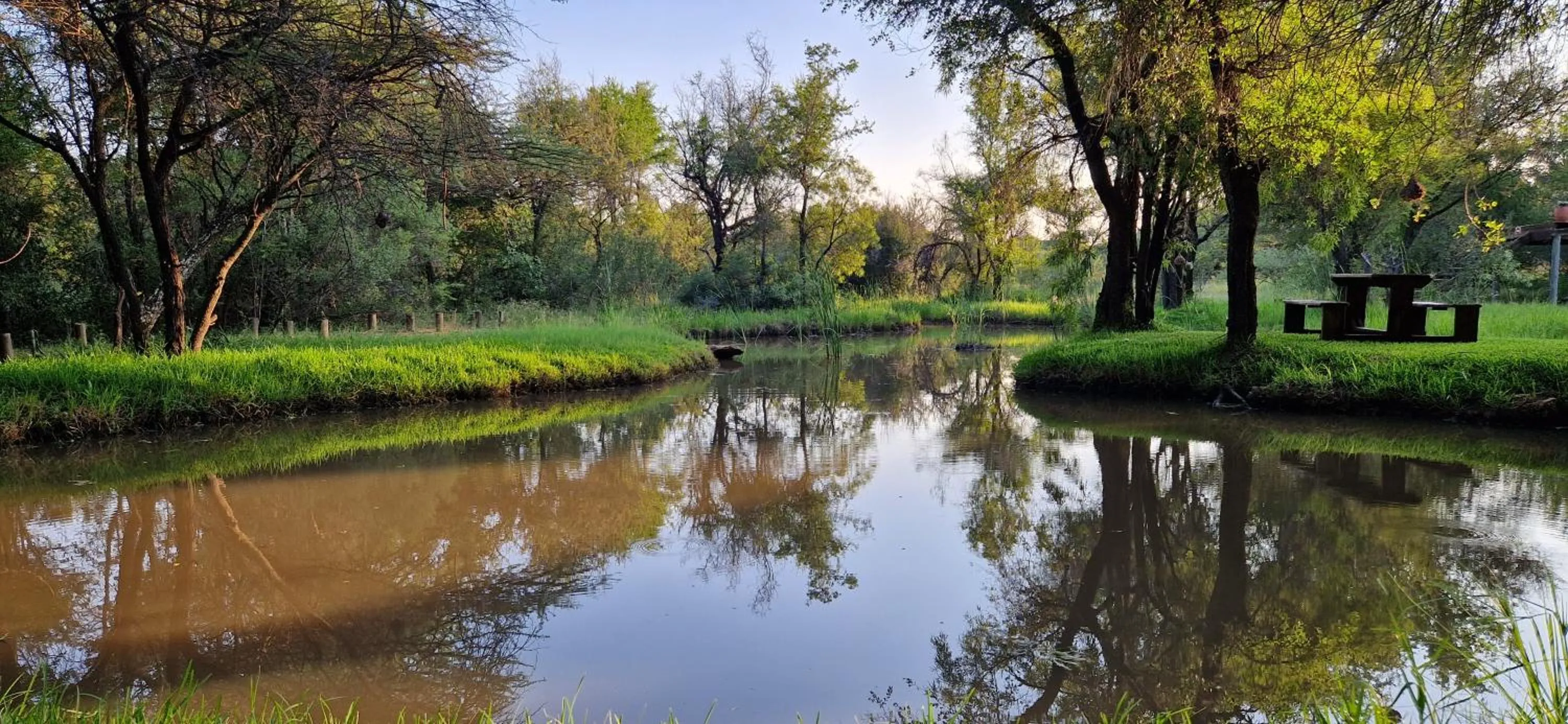 Natural landscape in Tamboti Bush Lodge