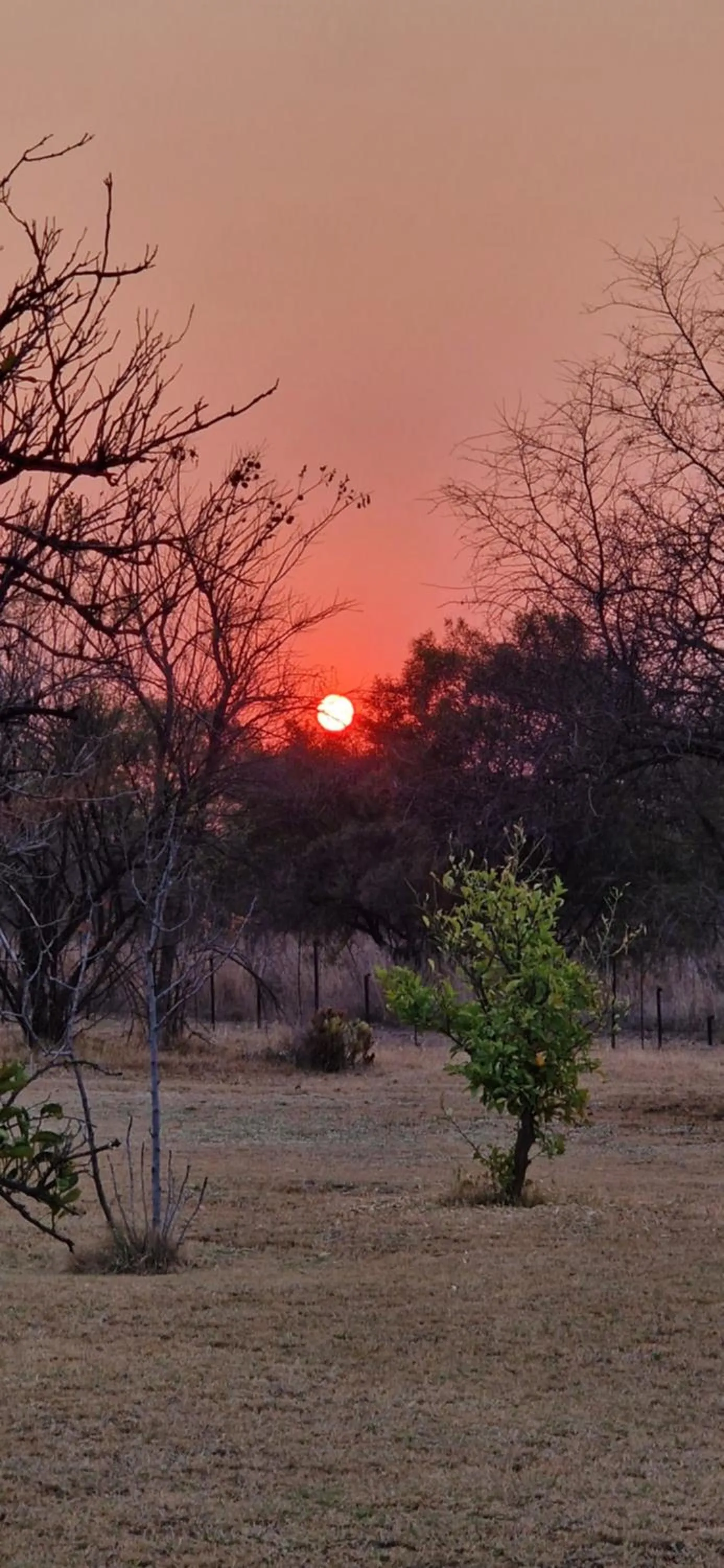 Natural landscape in Tamboti Bush Lodge