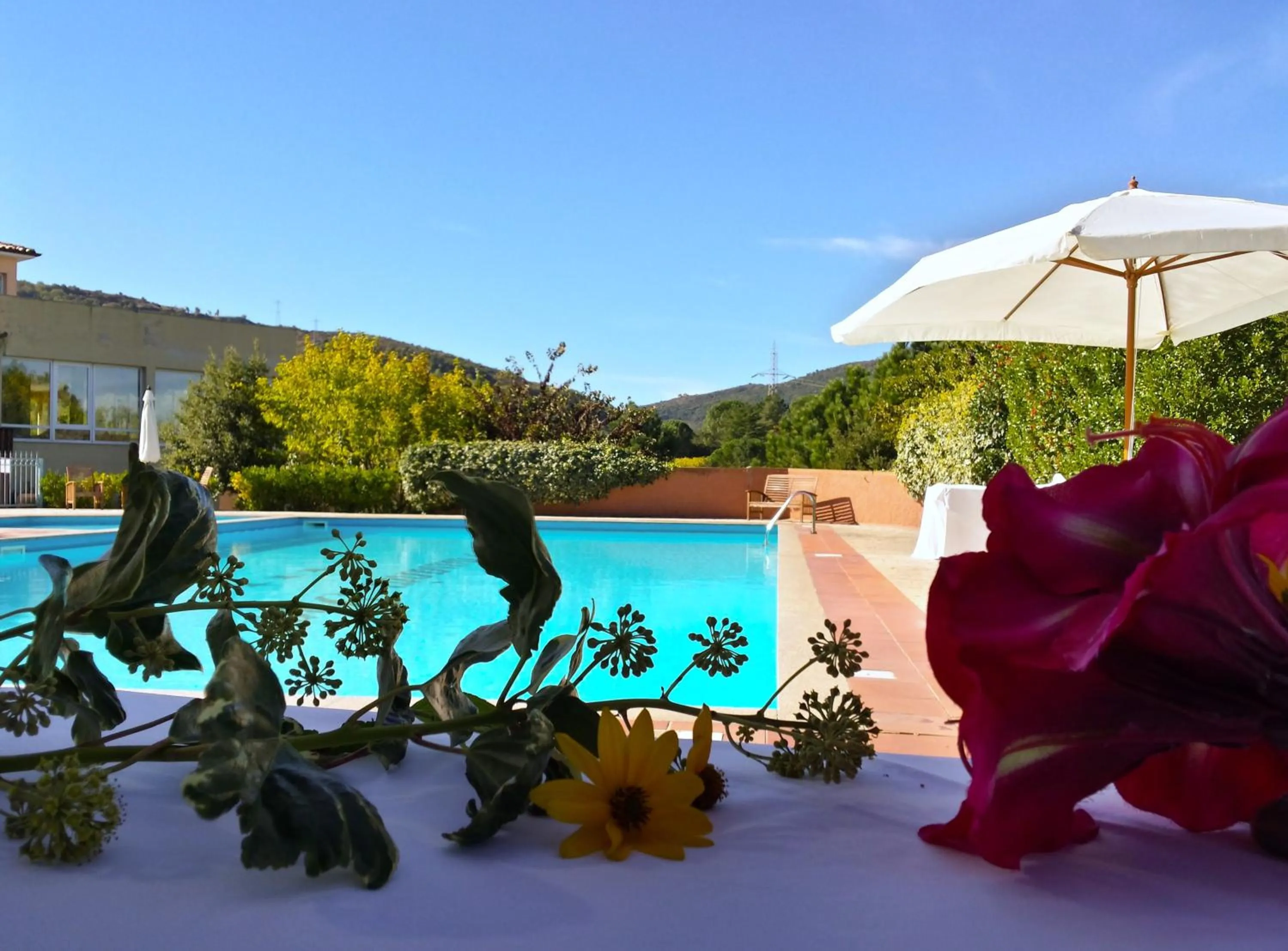 Swimming pool in Pausania Inn