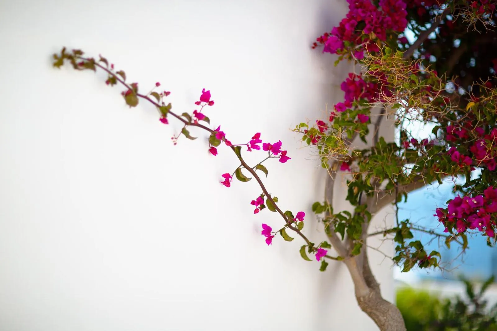 Property building in LH Pedraladda Resort