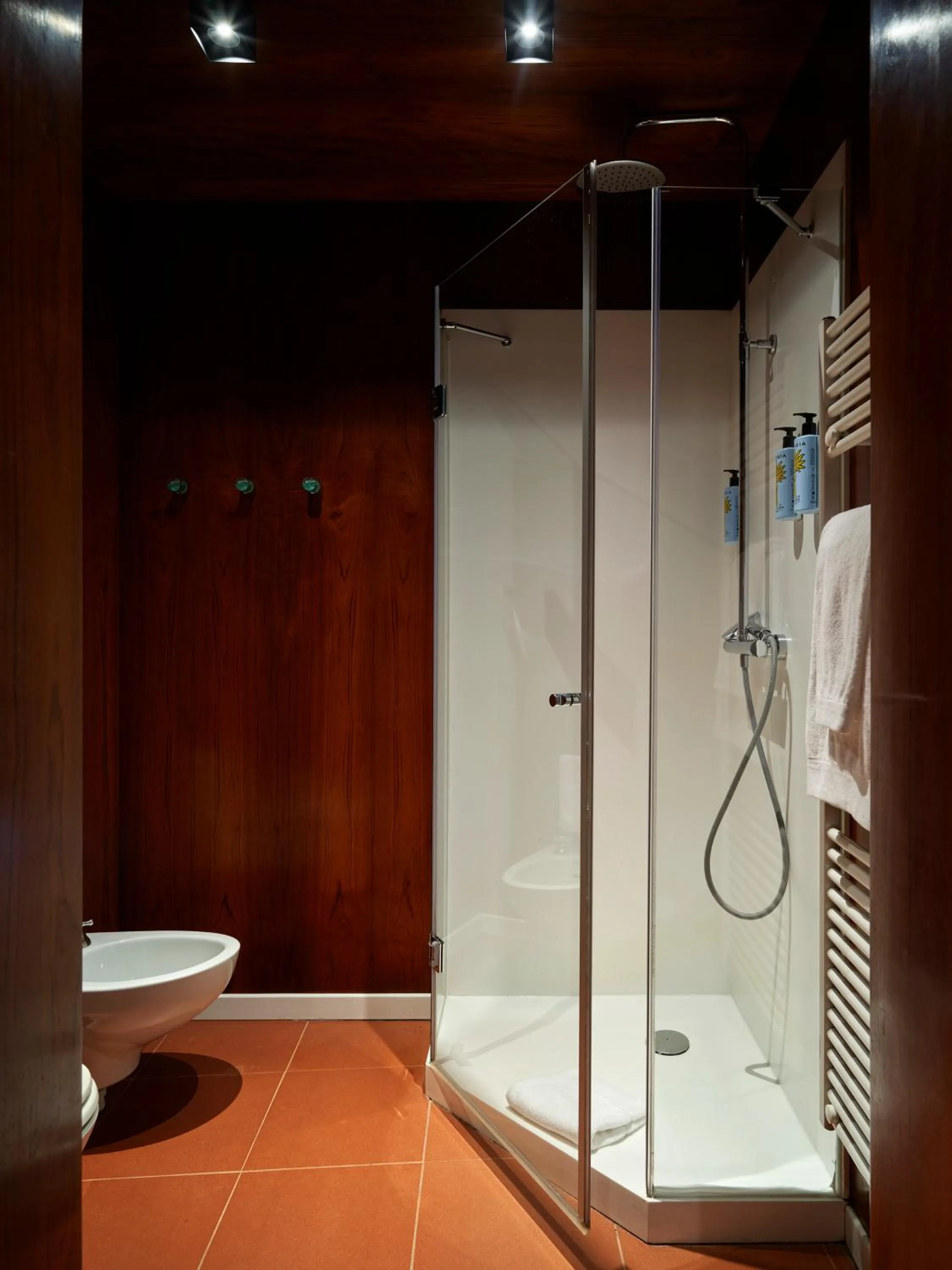 Shower in Santa Maria Foris