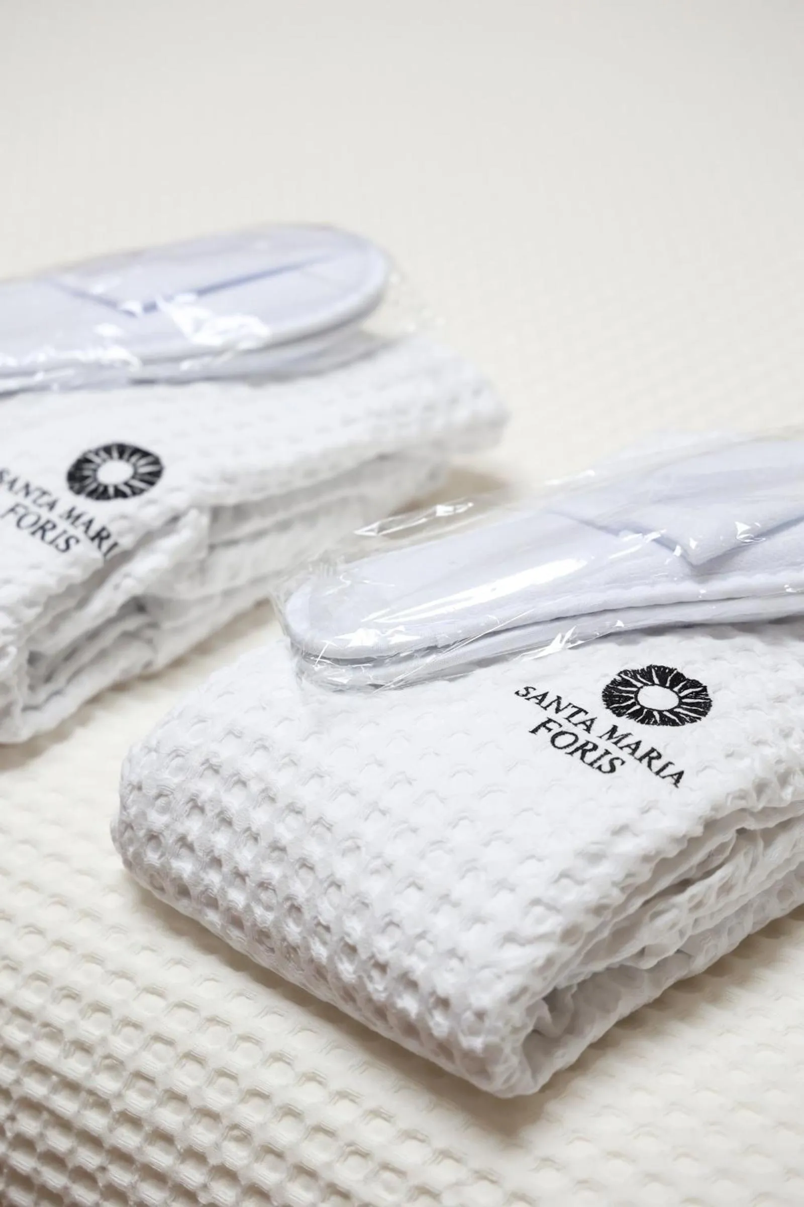 Decorative detail in Santa Maria Foris