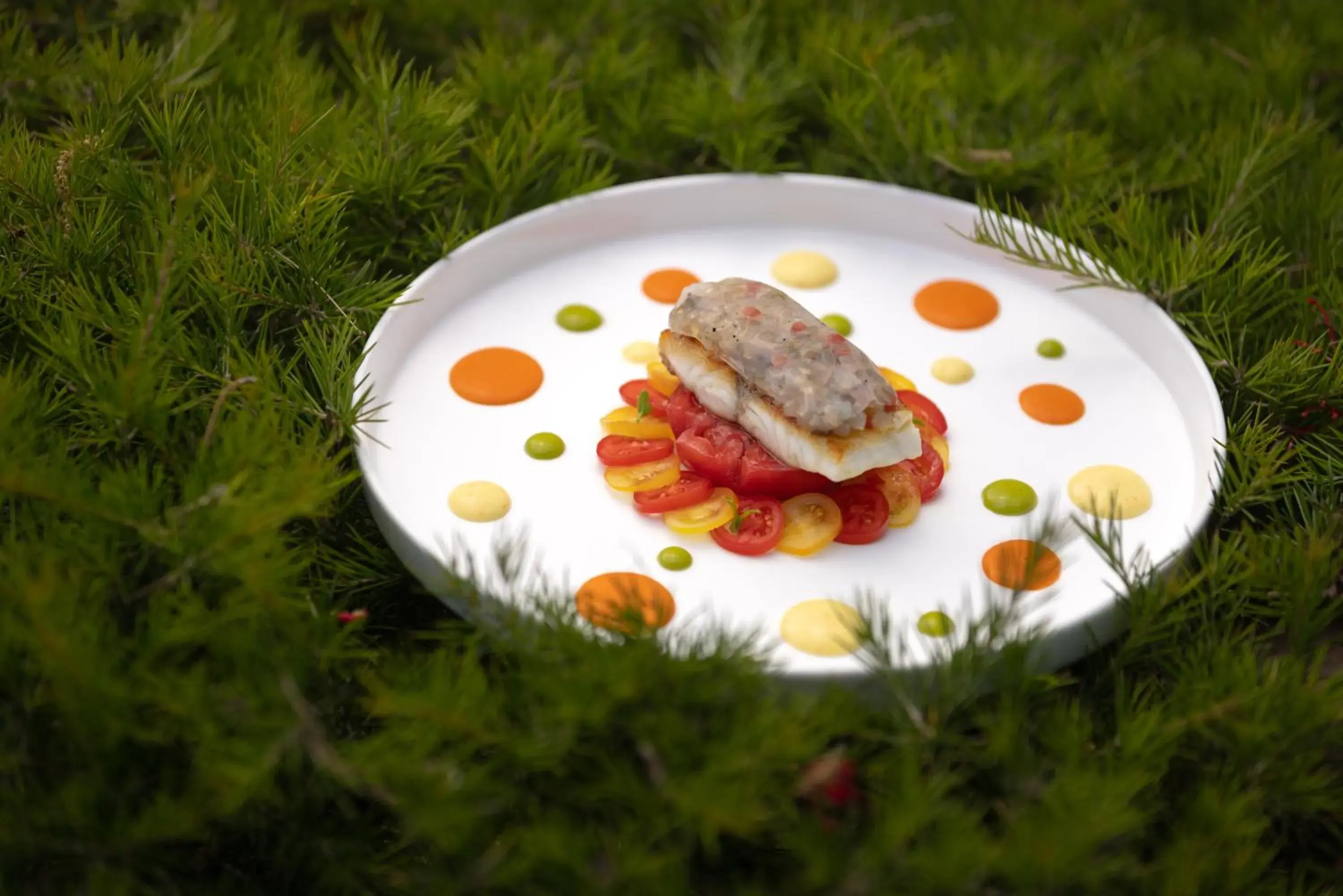 Food close-up in Hotel Caesar Augustus Food close-up in Hotel Caesar Augustus