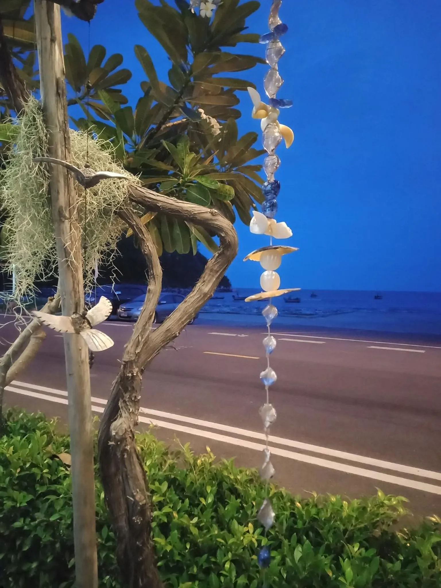 Beach in The Beach Boutique Resort