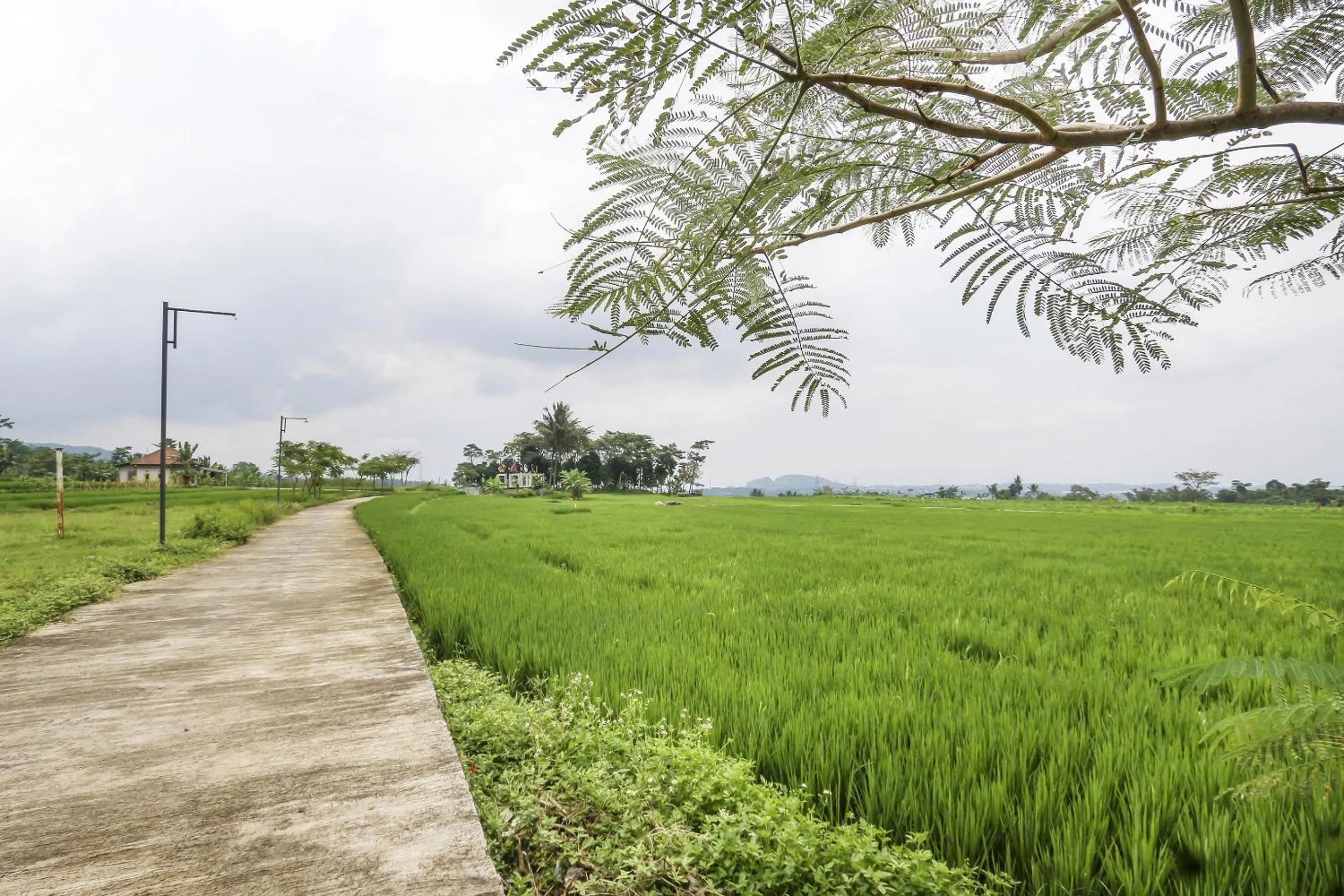 Lobby or reception in OYO Homes 91151 Desa Wisata Kreatif Perdamaian Srumbung Gunung