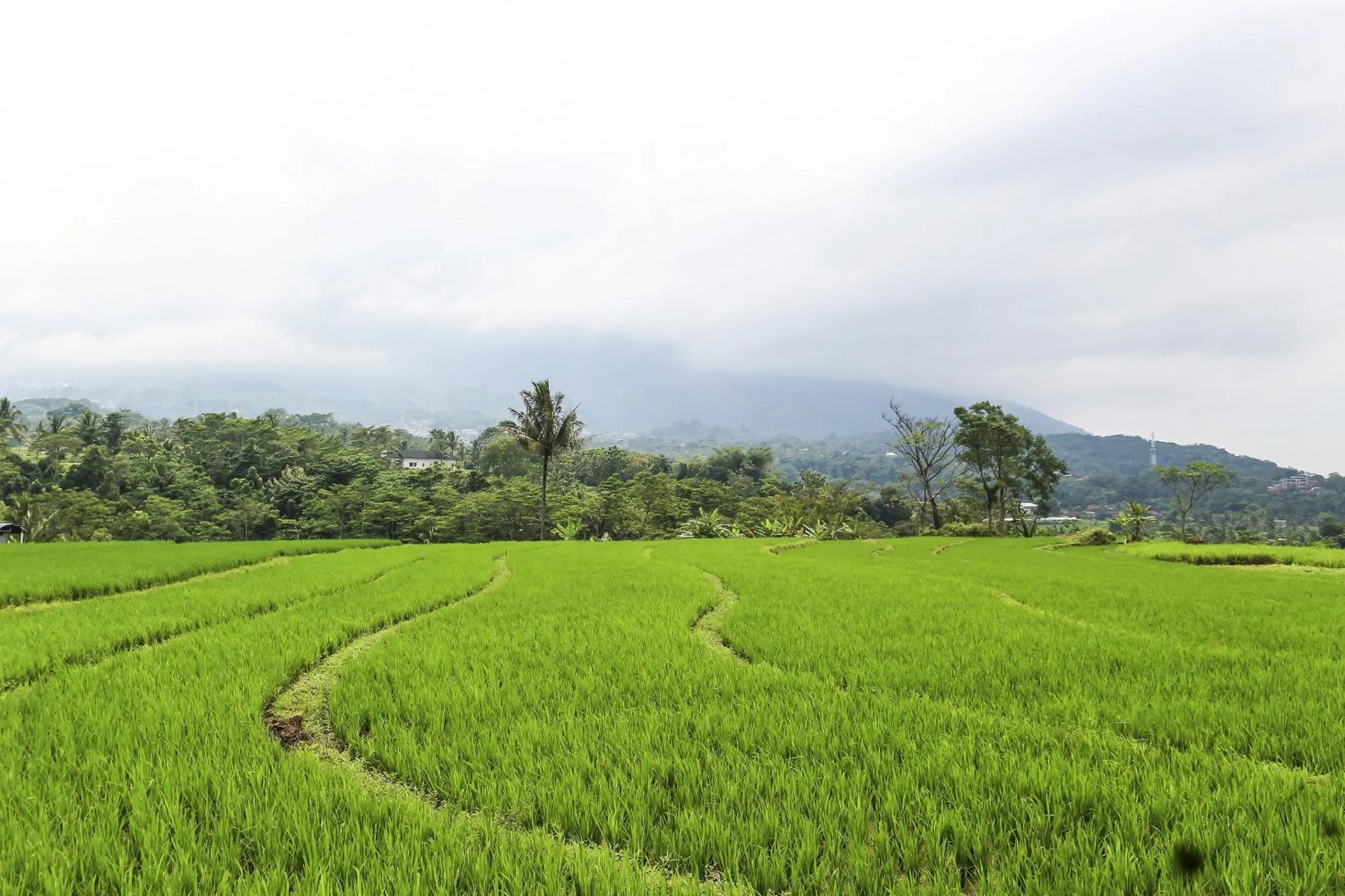 Lobby or reception in OYO Homes 91151 Desa Wisata Kreatif Perdamaian Srumbung Gunung