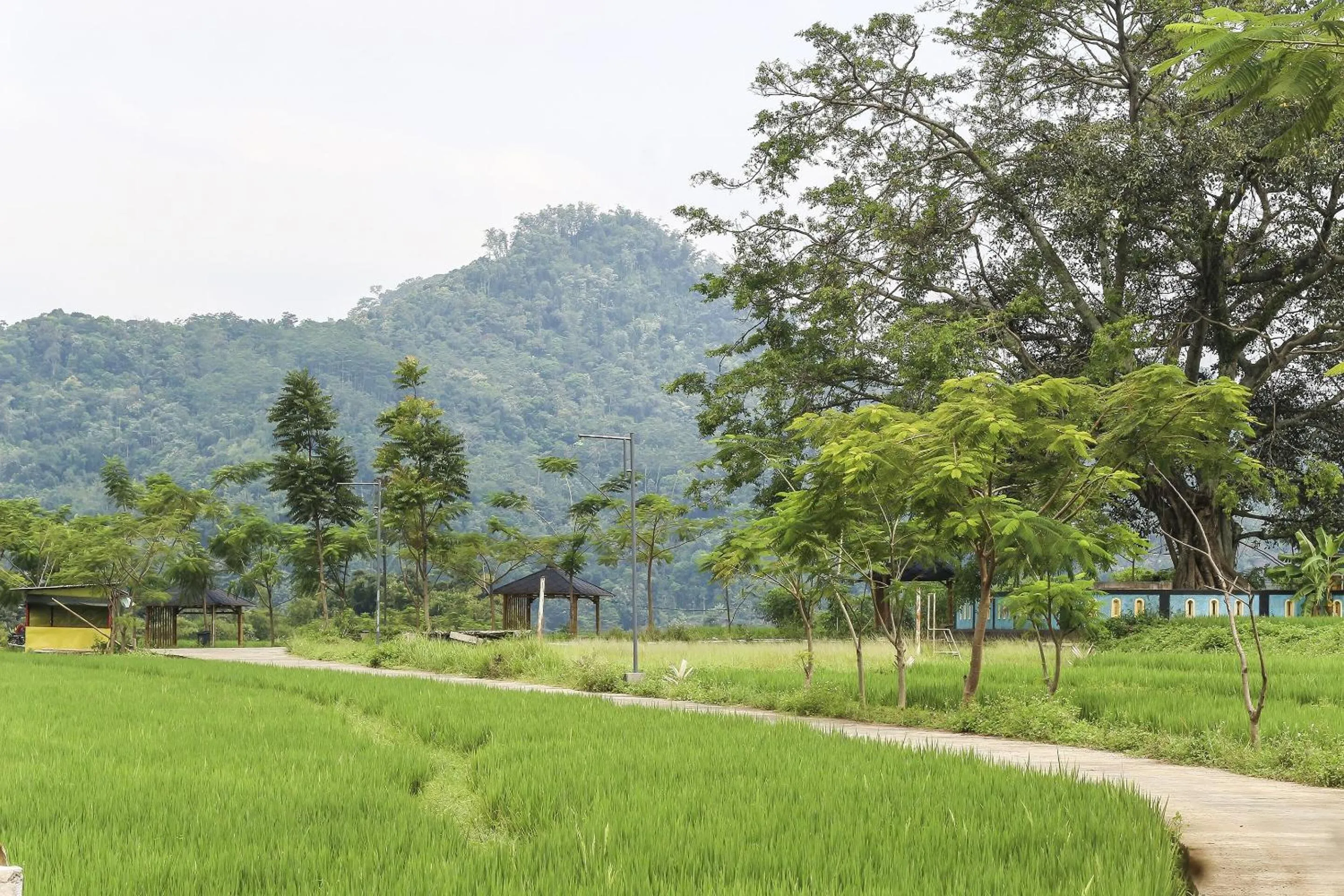 Lobby or reception in OYO Homes 91151 Desa Wisata Kreatif Perdamaian Srumbung Gunung