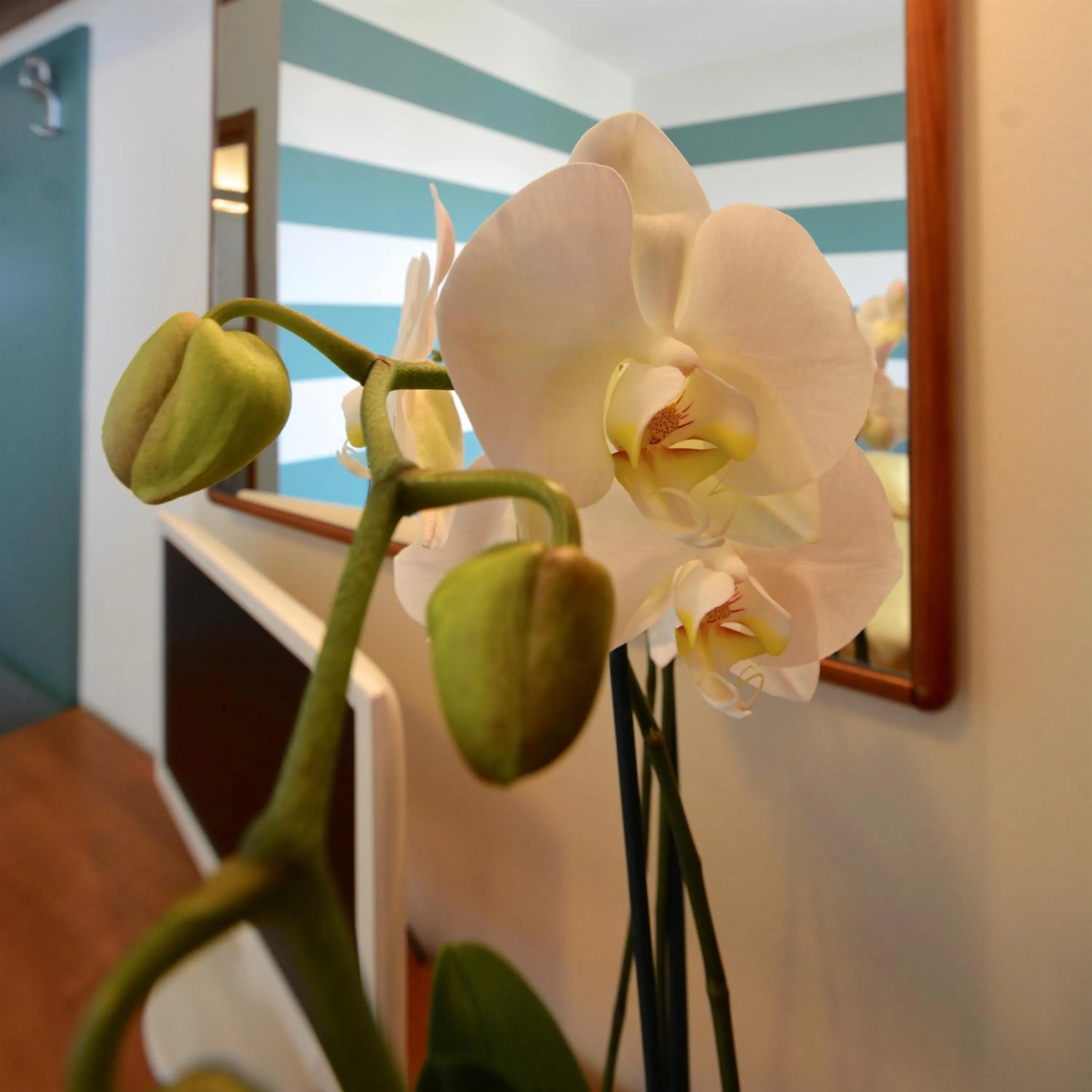 Decorative detail in Astor Hotel