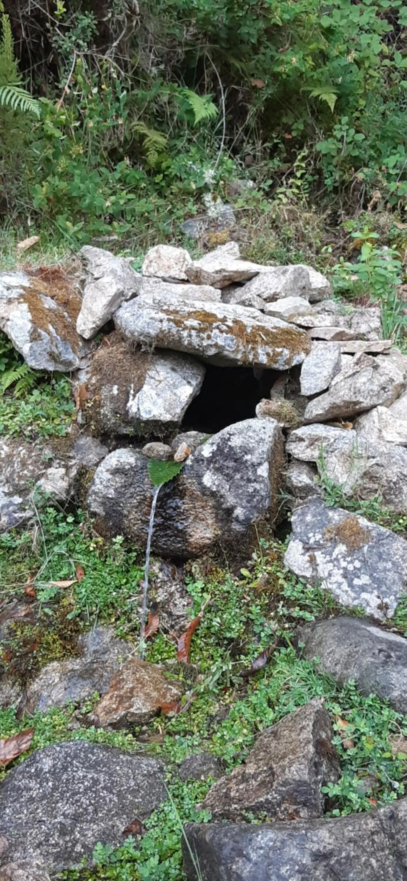 Natural landscape in Casa Nanuccia