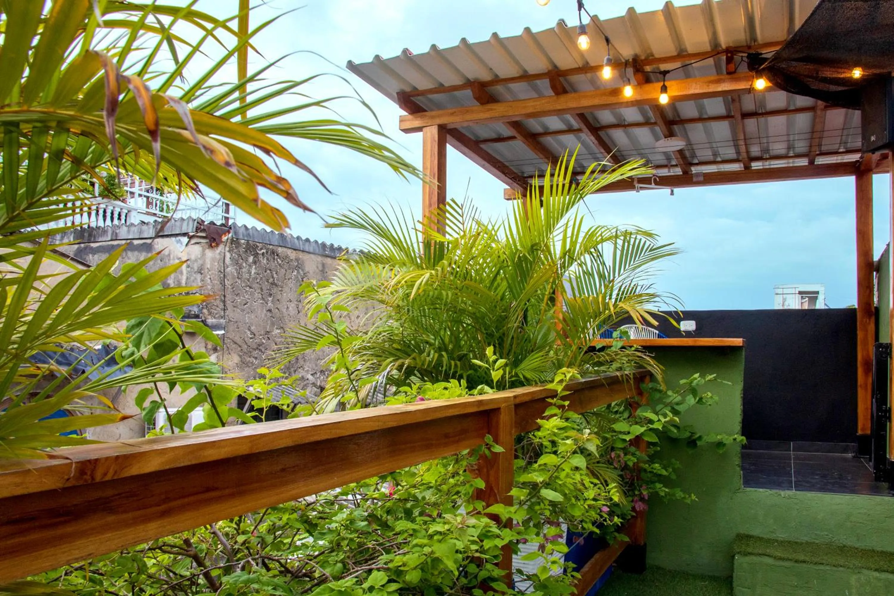 Balcony/Terrace in Seven Nights Hostel Cartagena