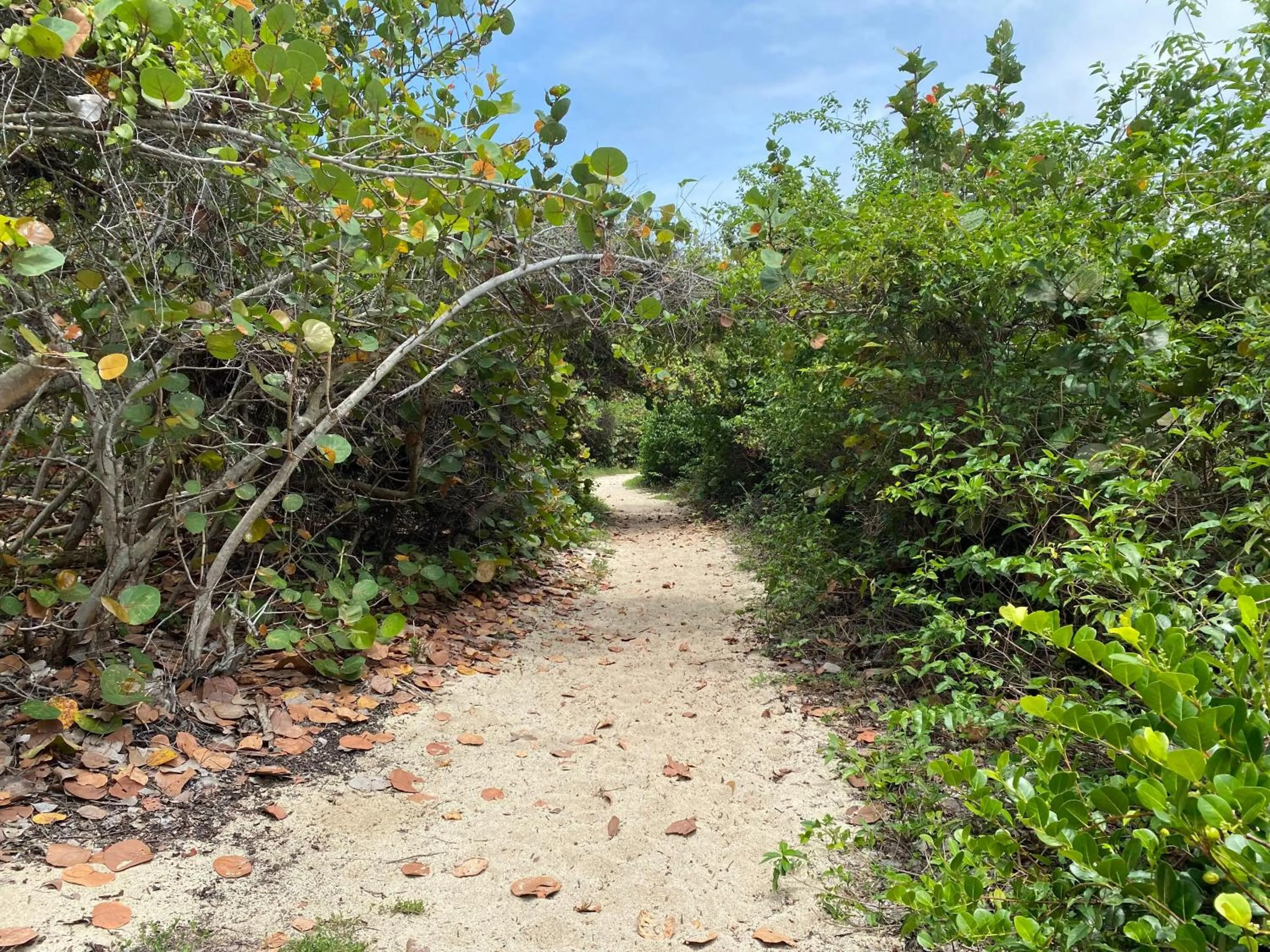 Beach in Ecohabs Tequendama - Parque Tayrona