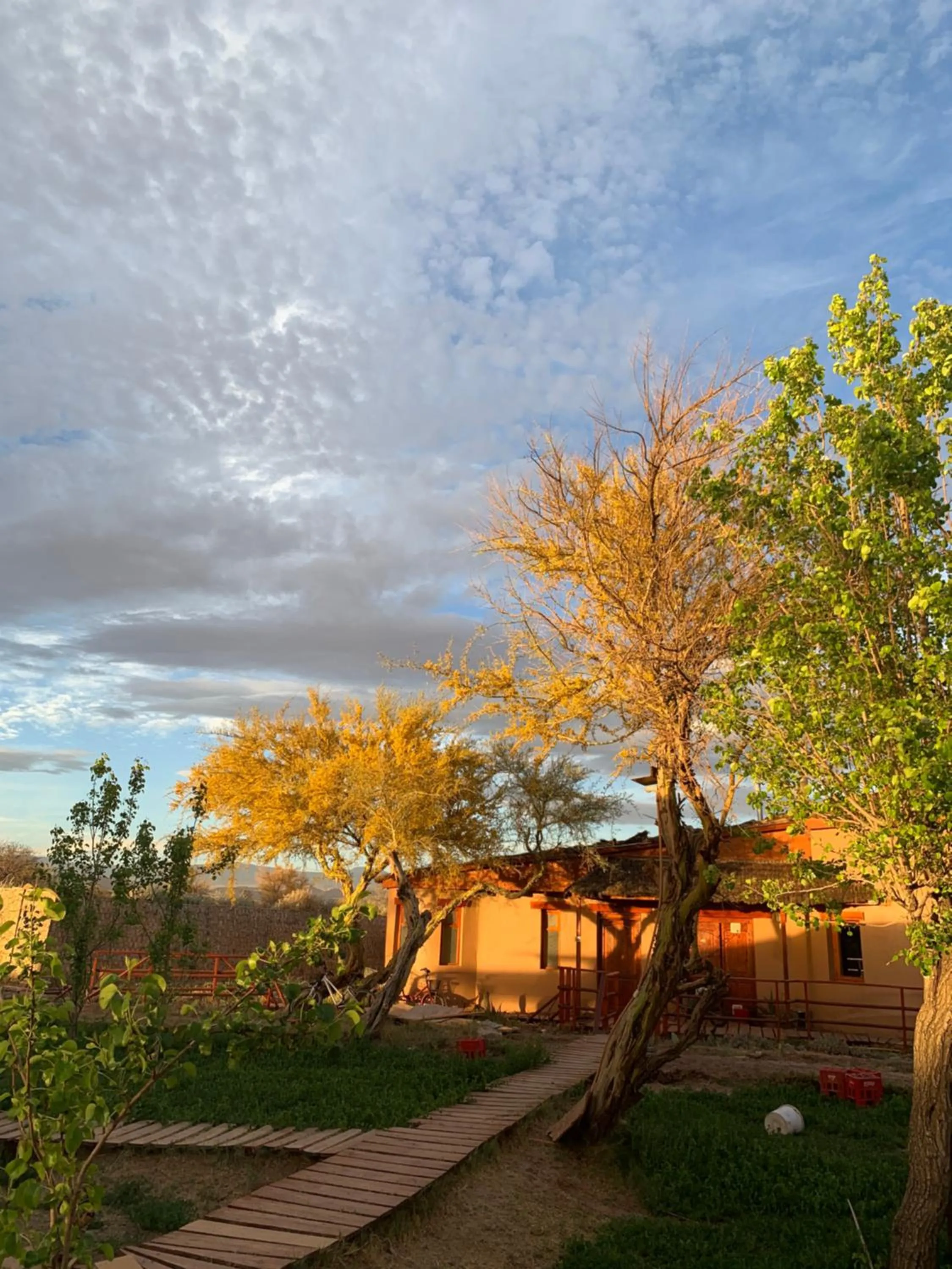 Garden in Sami Atacama