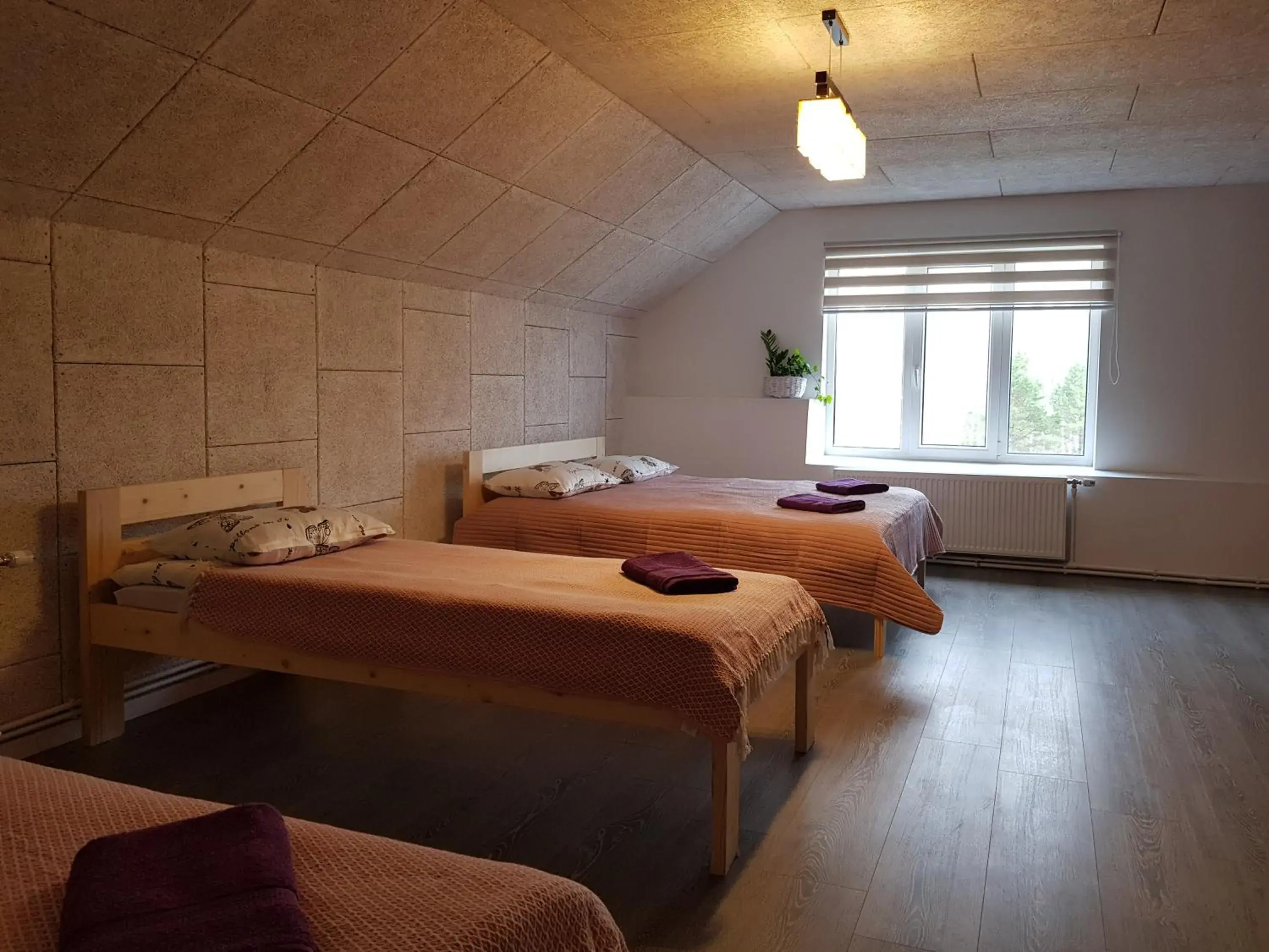 Standard Family Room in Viesu māja Vālodzes Standard Family Room in Viesu māja Vālodzes