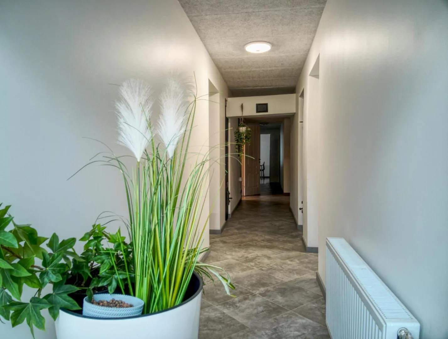 Viesu māja Vālodzes