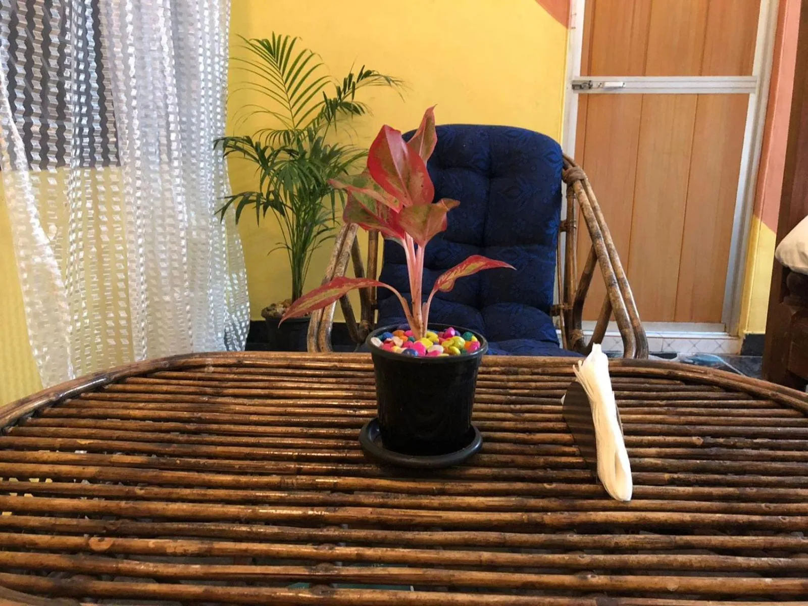 Garden in Nature Inn Cottages