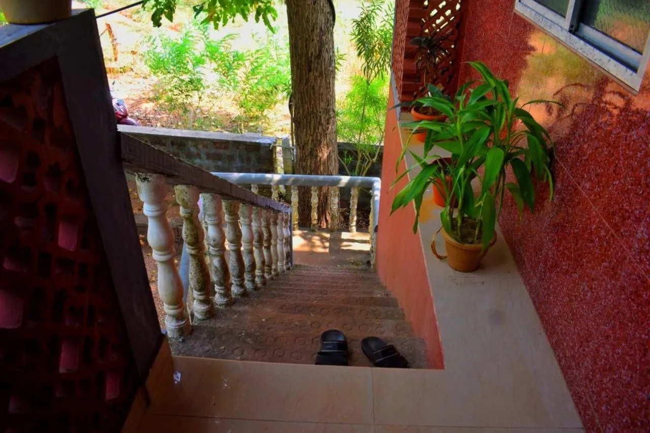 Balcony/Terrace in Nature Inn Cottages
