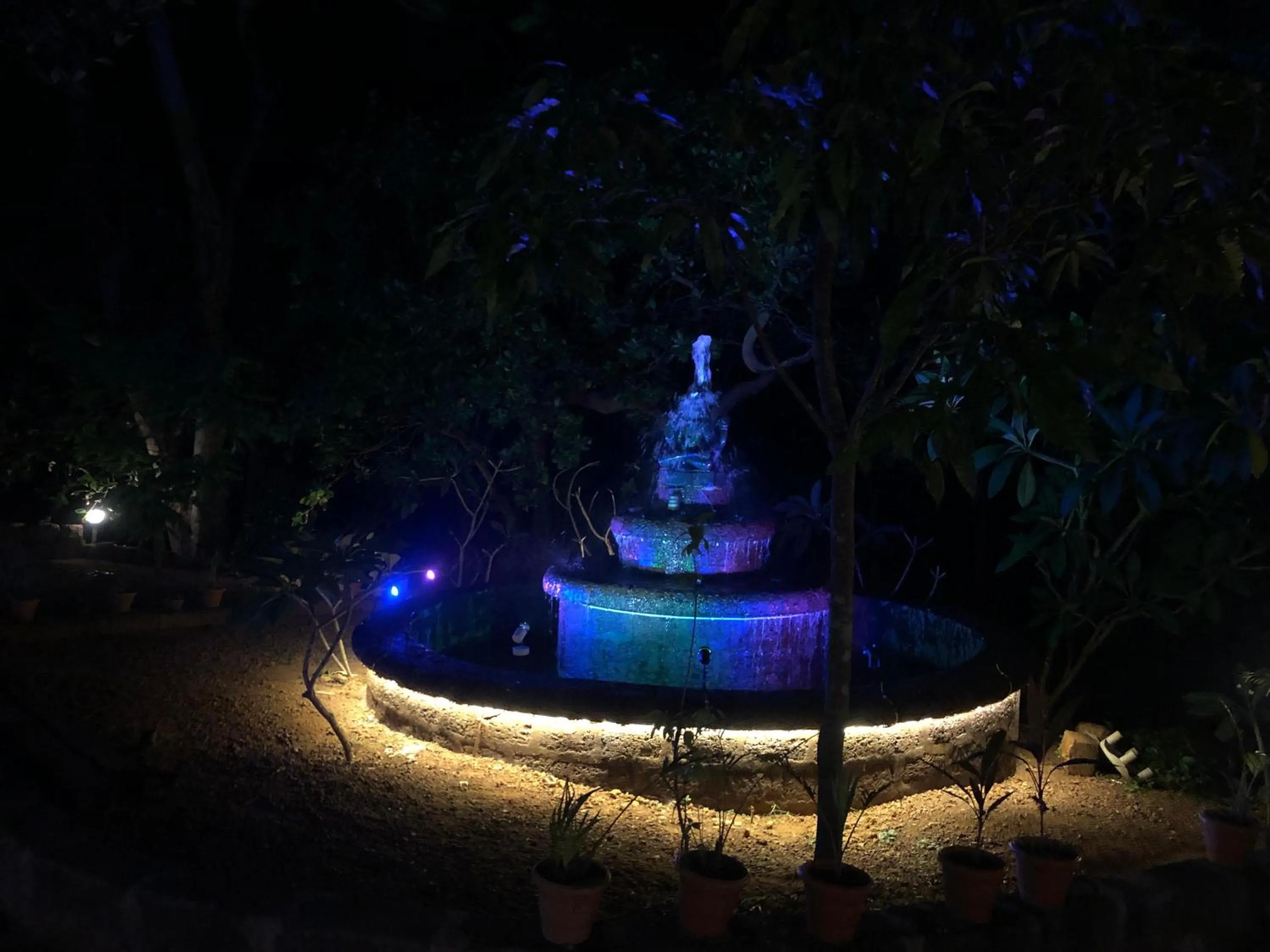 Night in Nature Inn Cottages