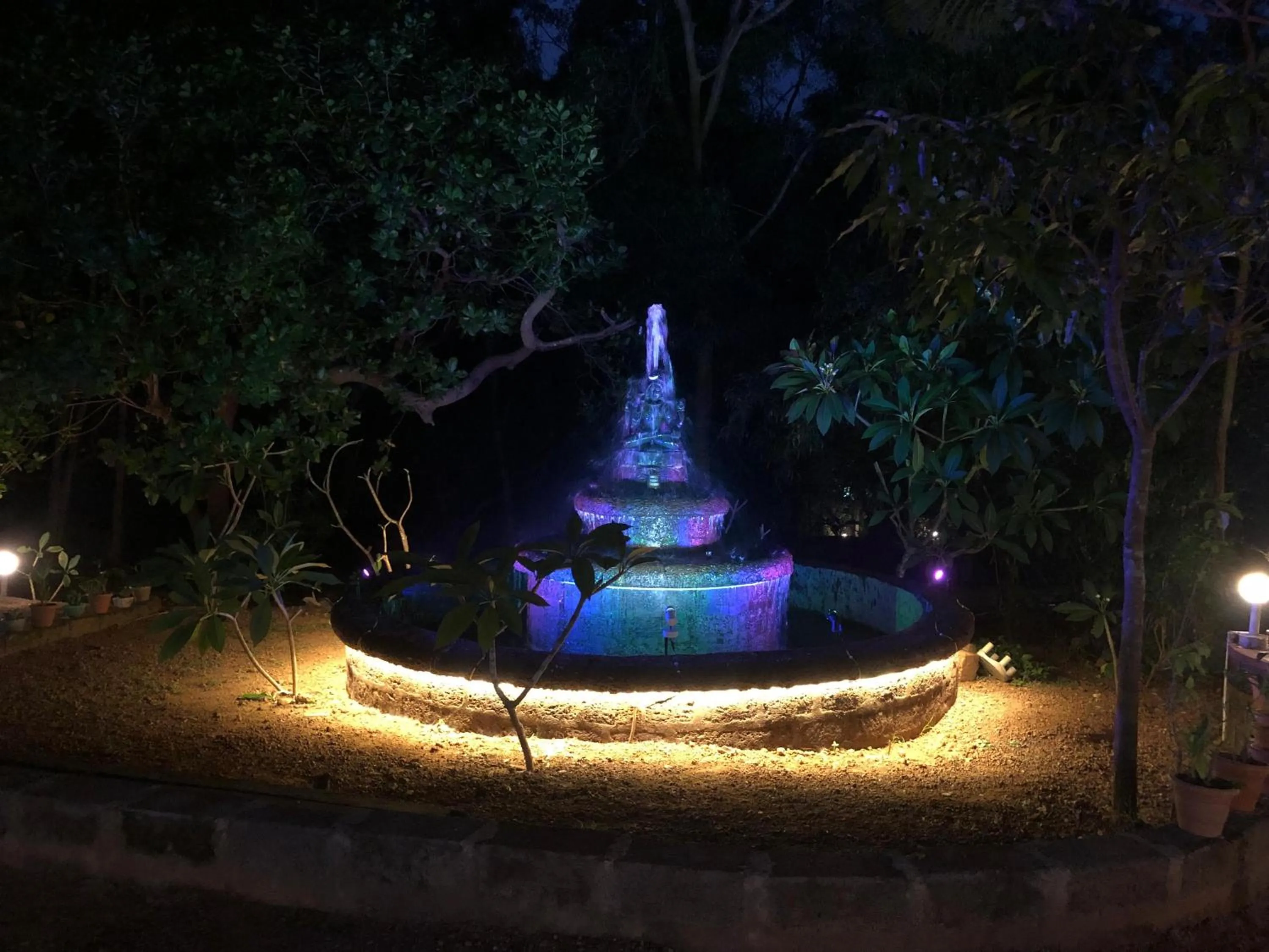 Night in Nature Inn Cottages