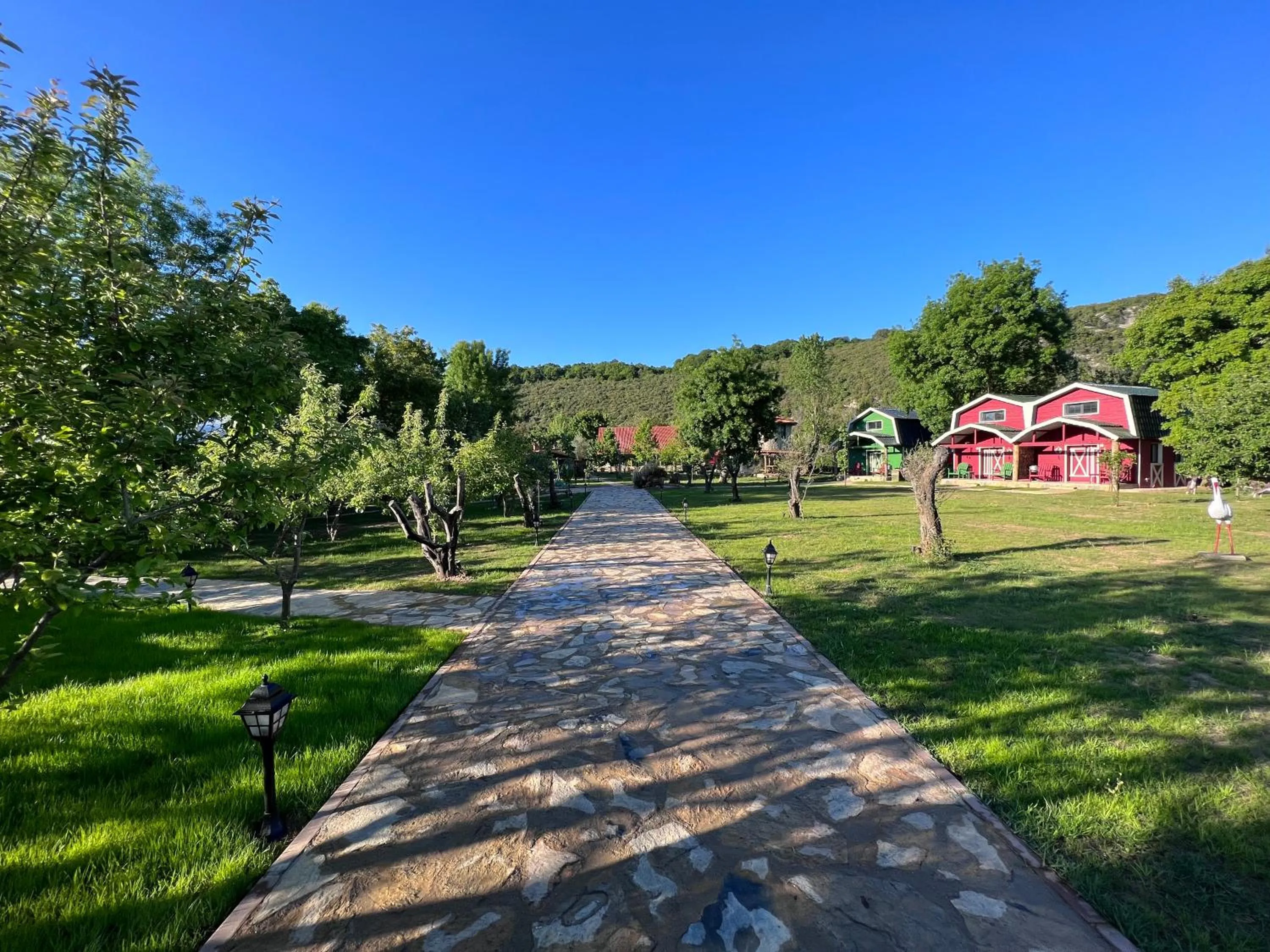 Garden in Dachas Cove Hotel