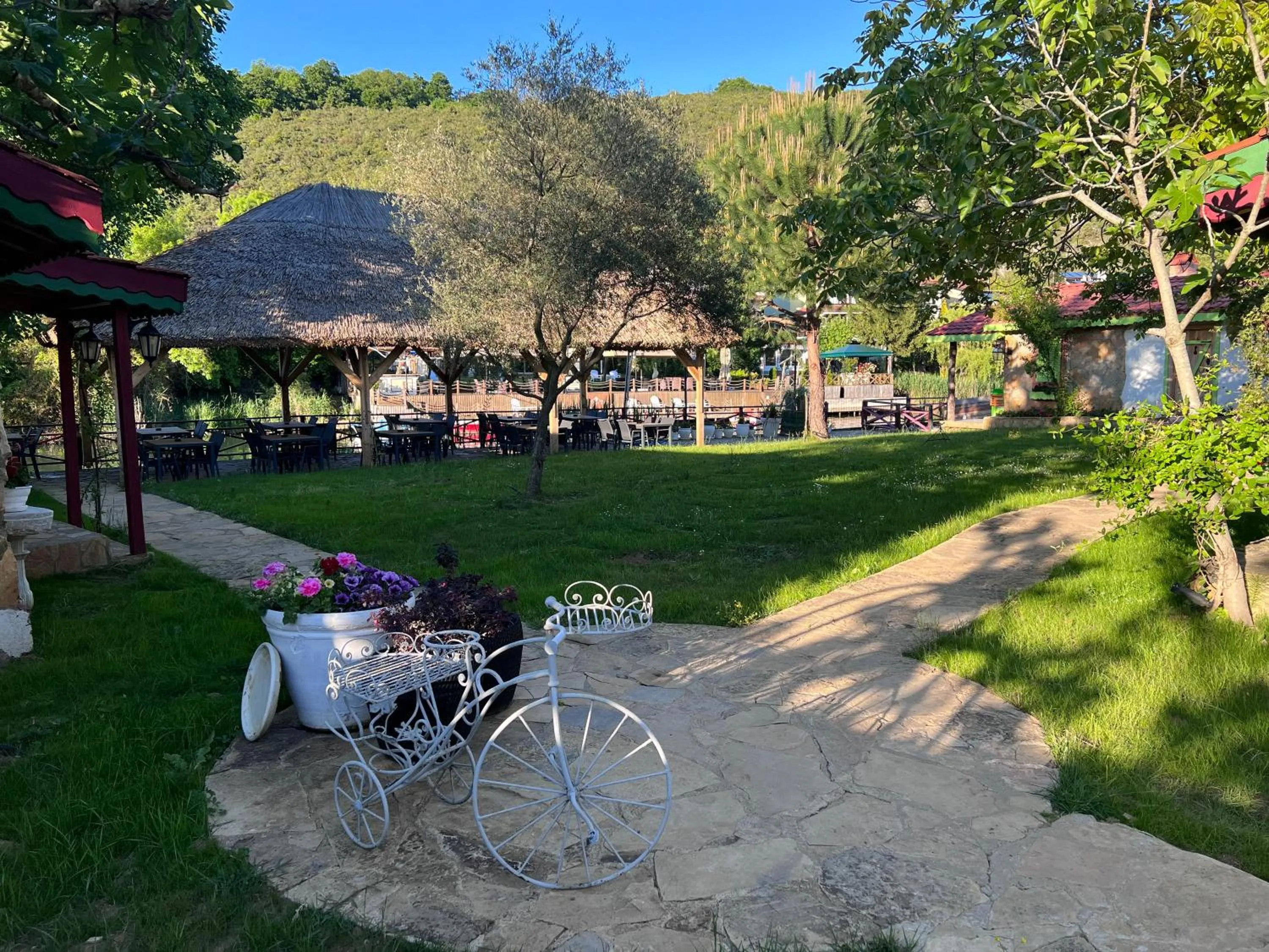 Garden in Dachas Cove Hotel