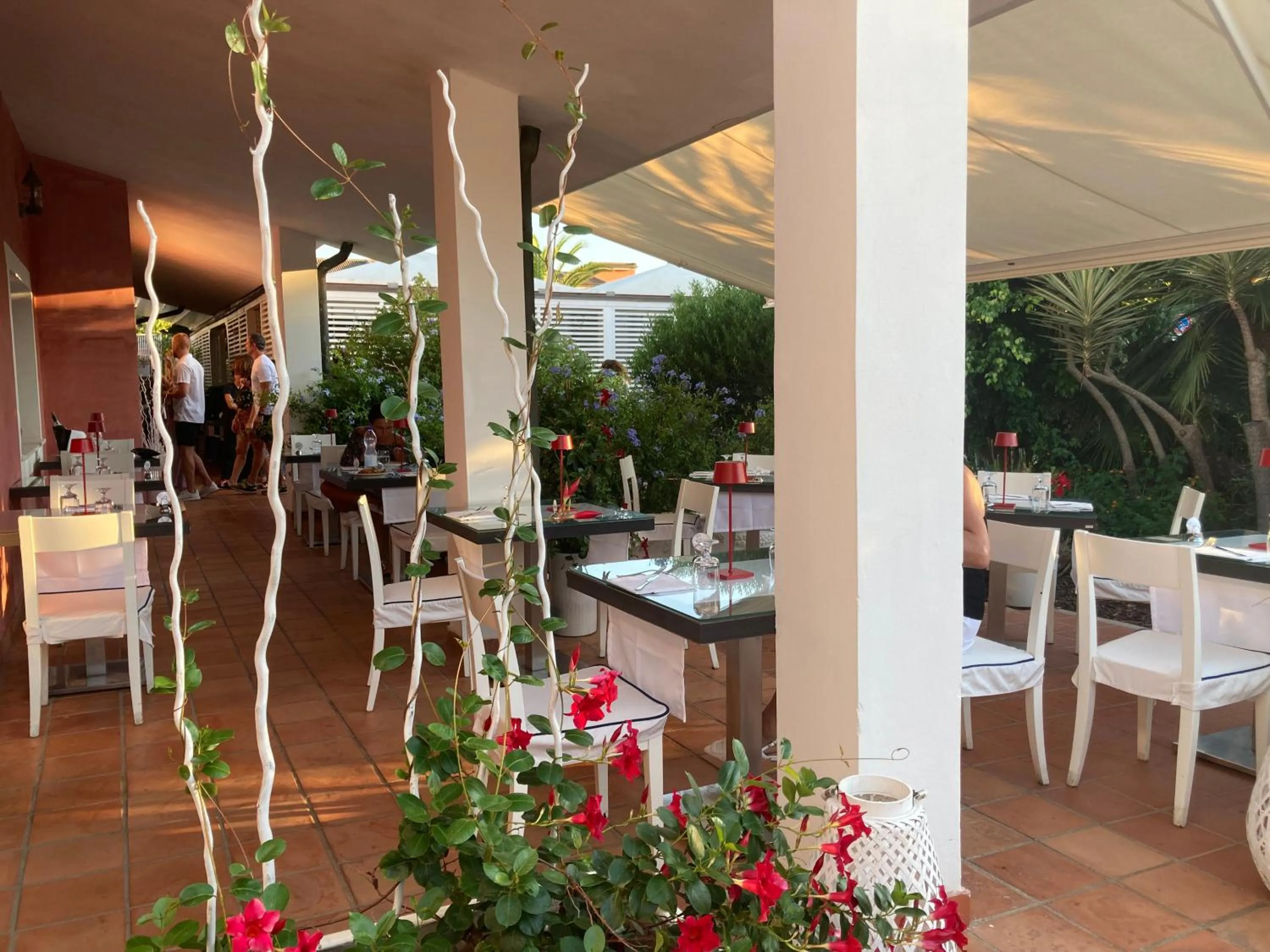 Breakfast in Cala Rosa Club Hotel