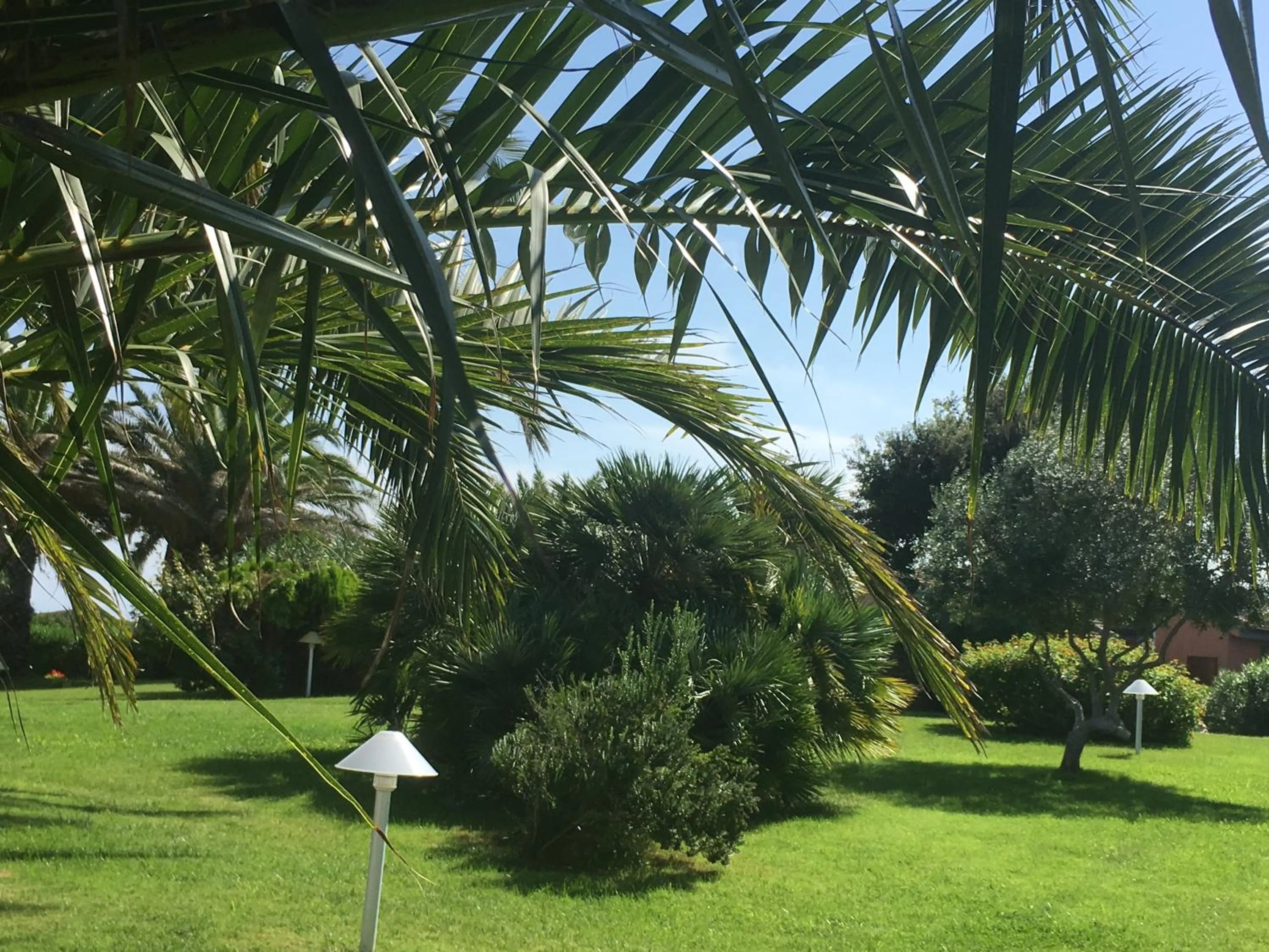 Natural landscape in Cala Rosa Club Hotel