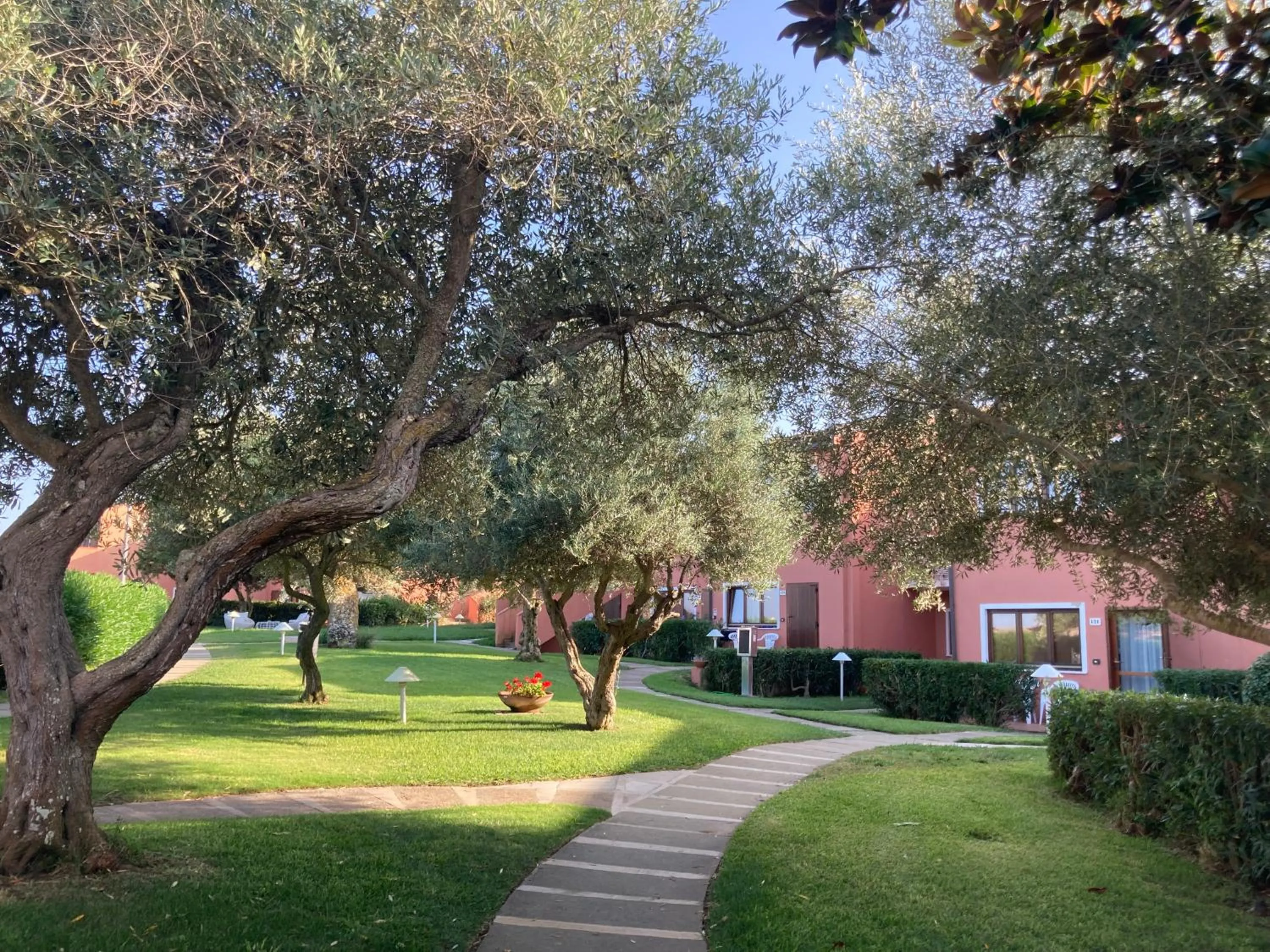 Garden view in Cala Rosa Club Hotel