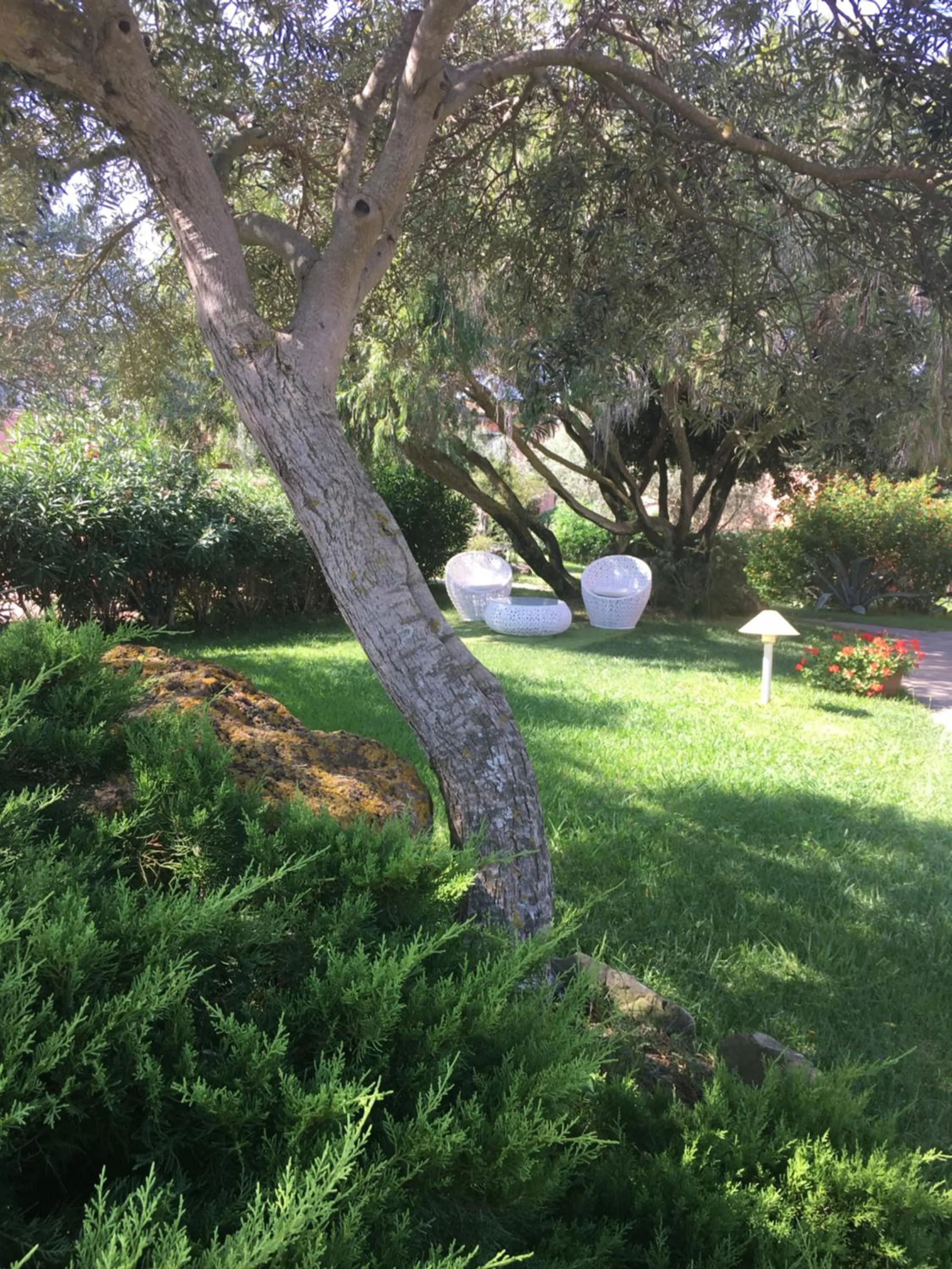 Garden in Cala Rosa Club Hotel