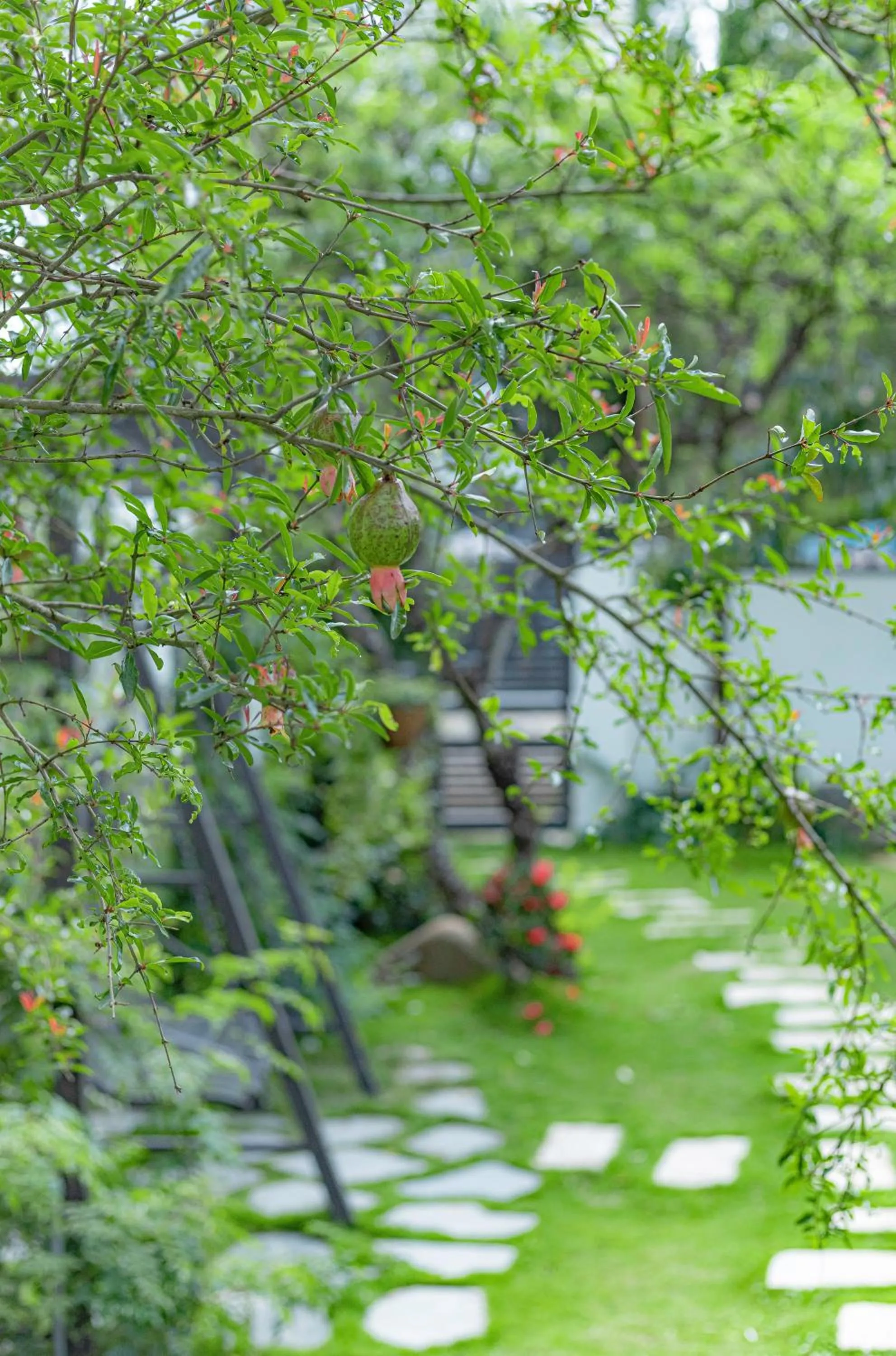 Garden in An Mai Boutique Hotel