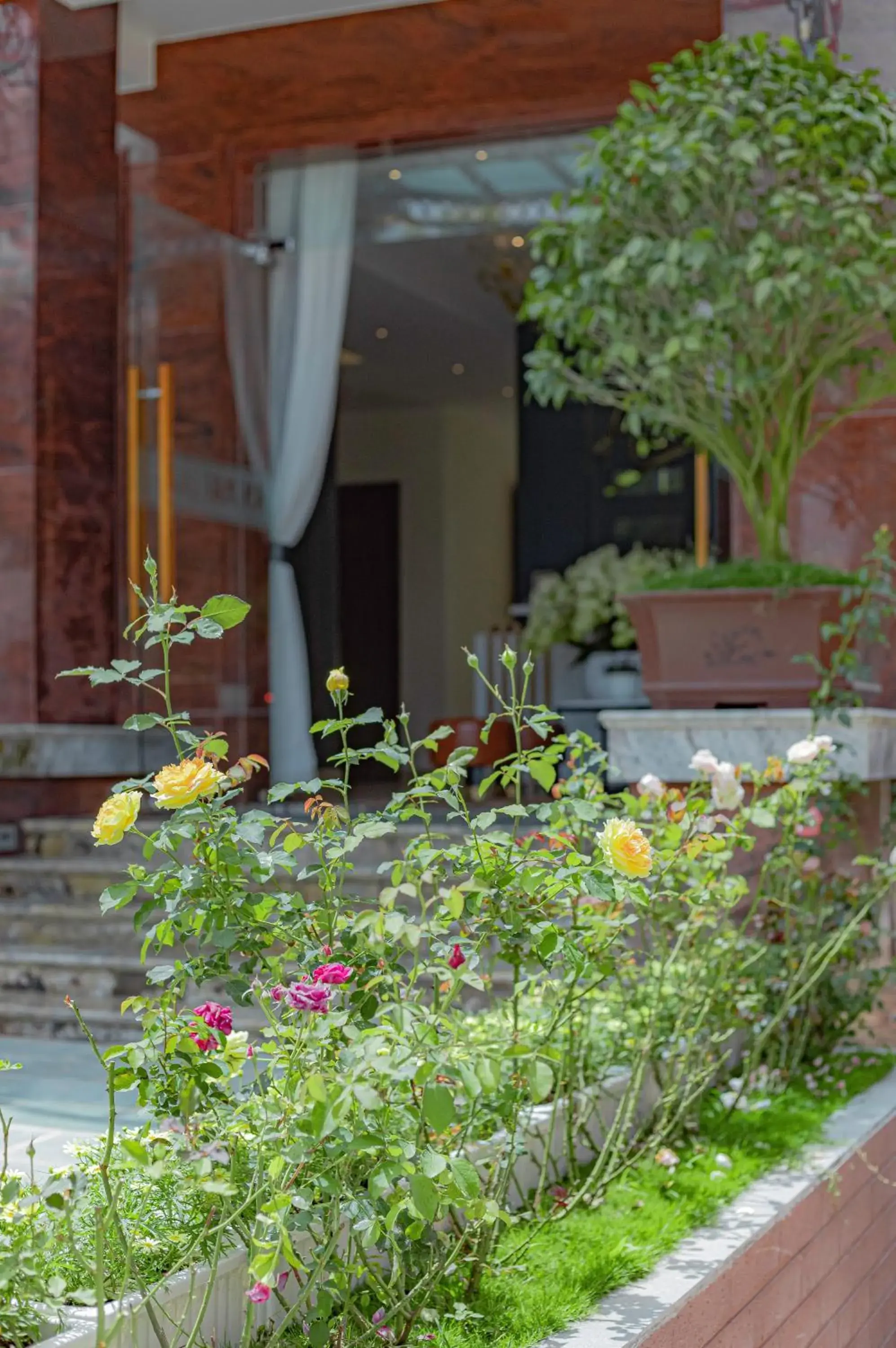 Facade/entrance in An Mai Boutique Hotel Facade/entrance in An Mai Boutique Hotel