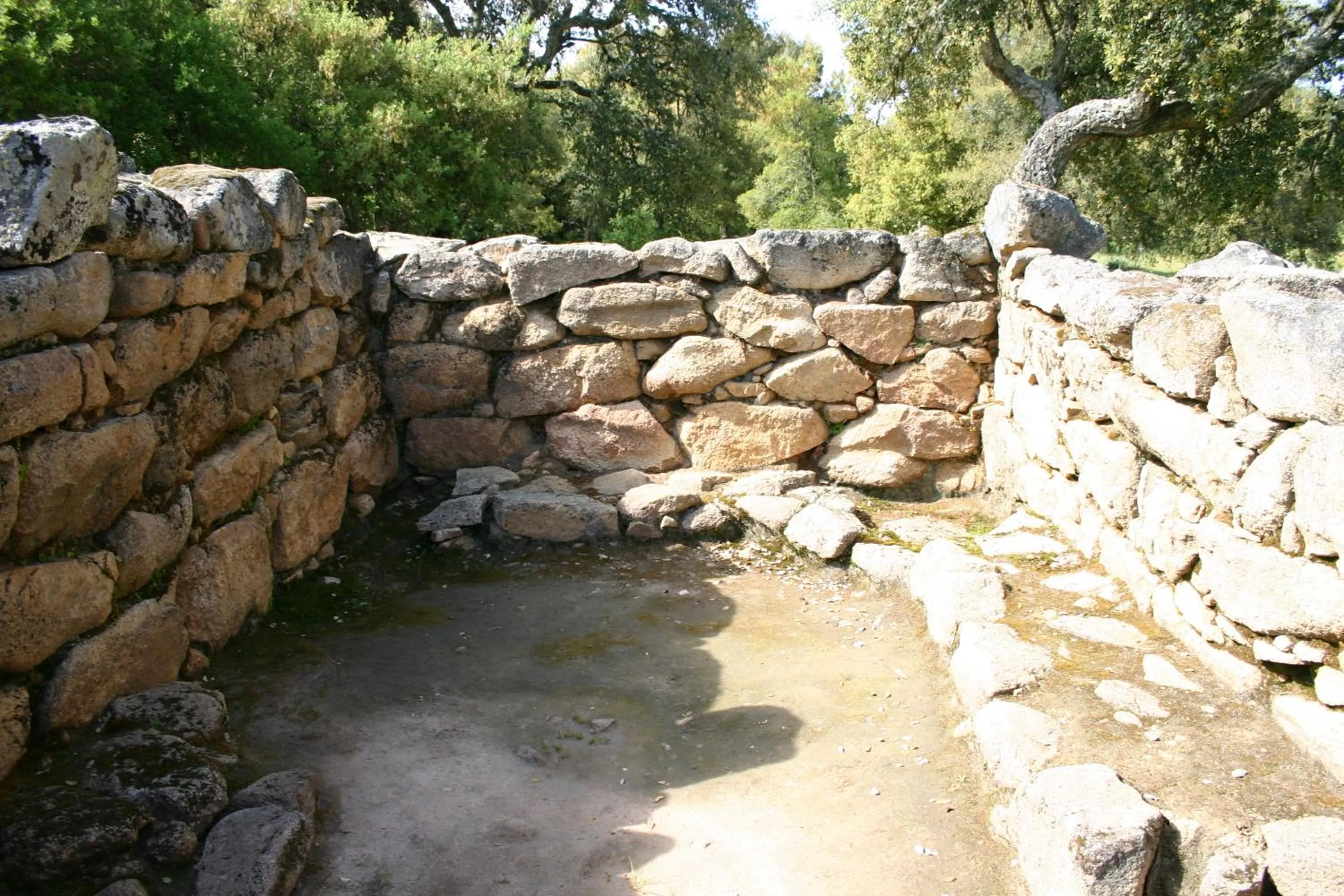 Area and facilities in Hotel Su Lithu