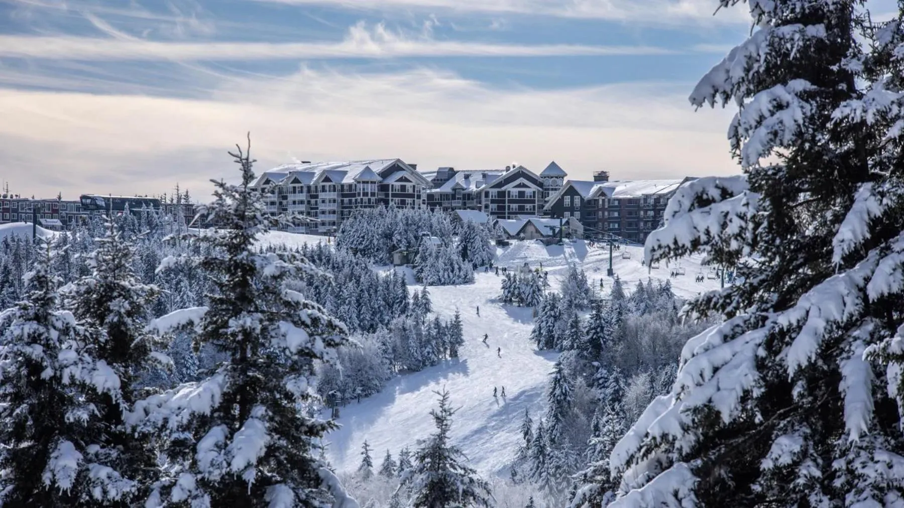 Neighbourhood in Snowshoe Ski-in & Ski-out at Silvercreek Resort - Family friendly, jacuzzi, hot tub, mountain views