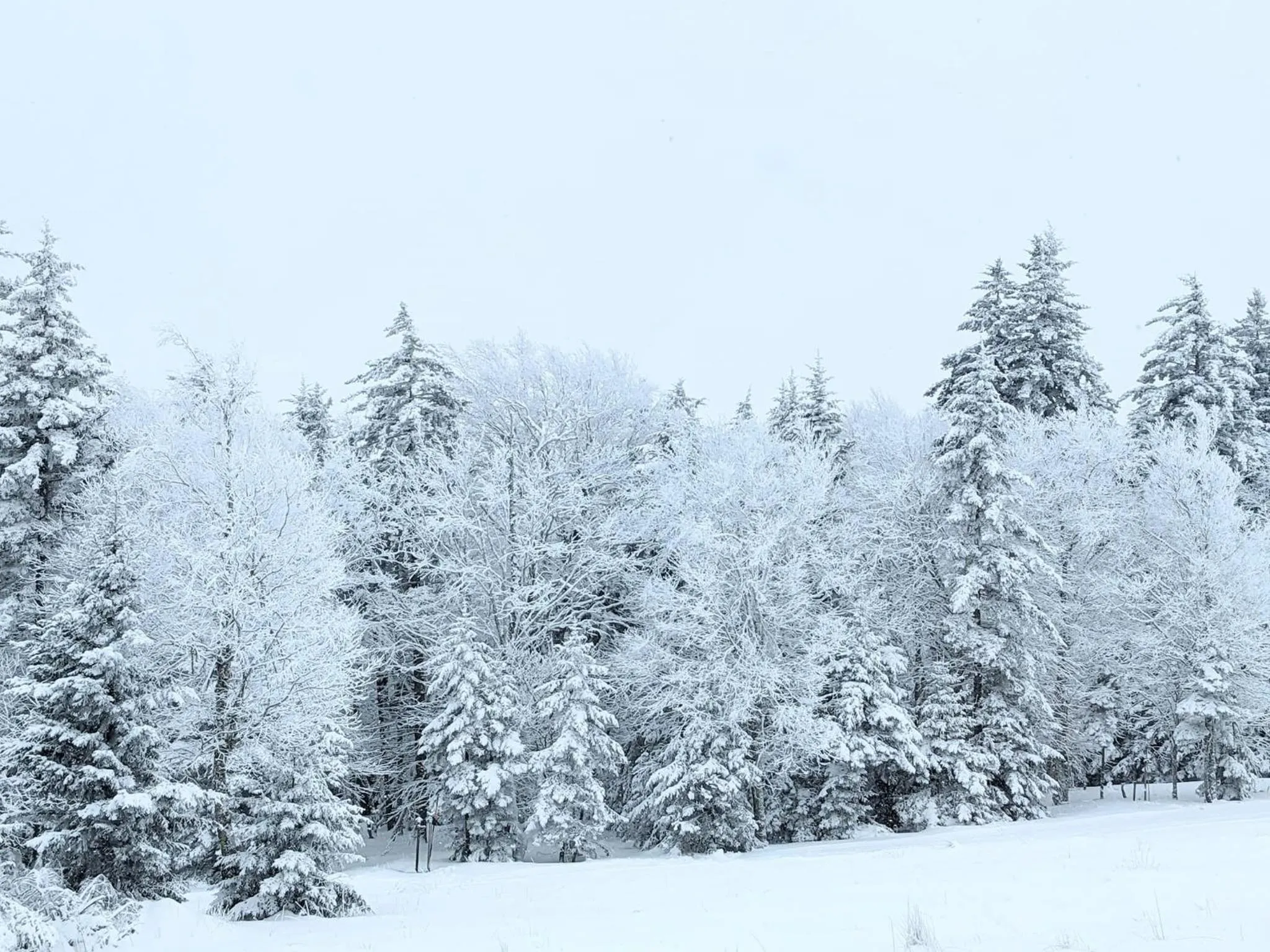 Natural landscape in Snowshoe Ski-in & Ski-out at Silvercreek Resort - Family friendly, jacuzzi, hot tub, mountain views