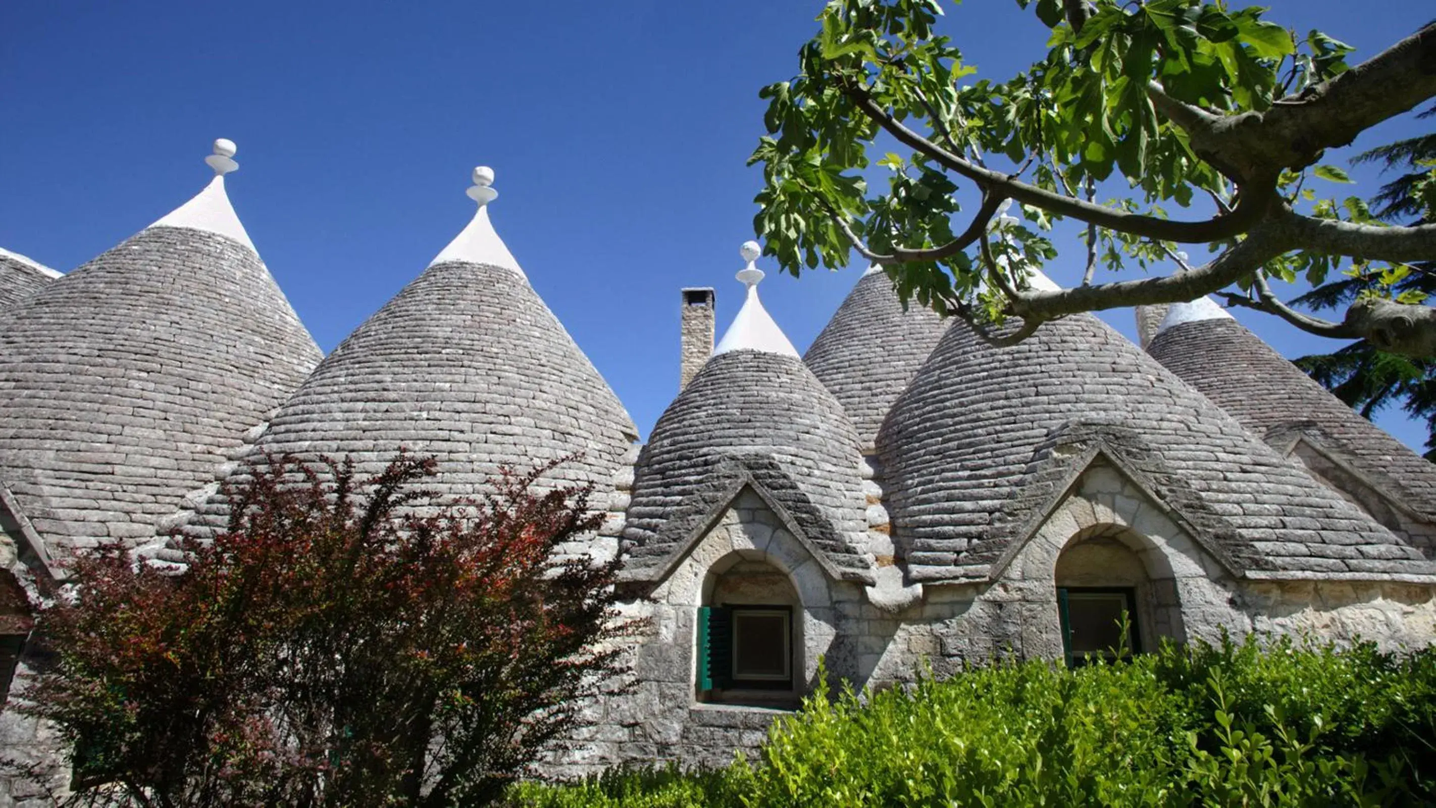 Property building in Tenuta Monacelle Property building in Tenuta Monacelle