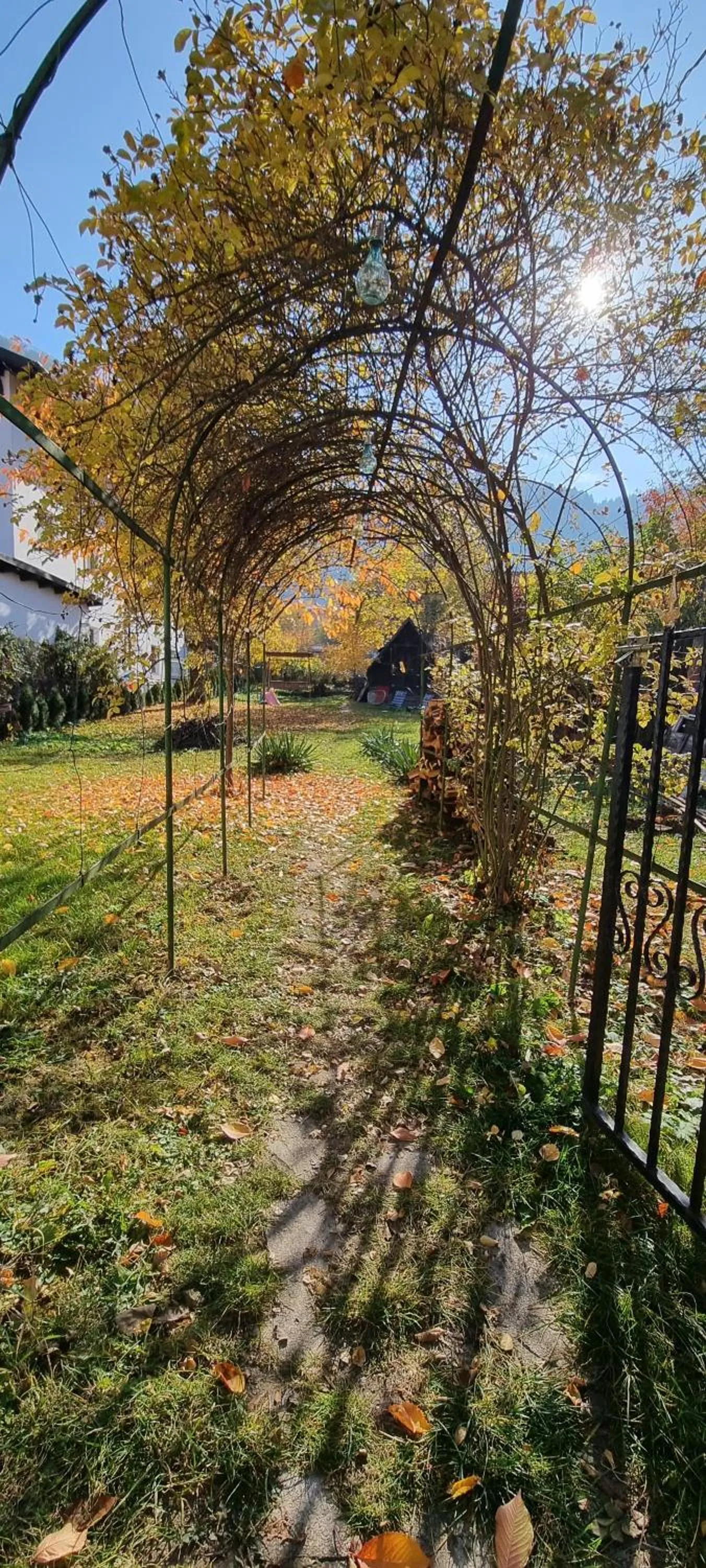 Garden in Happy Mood Apartments