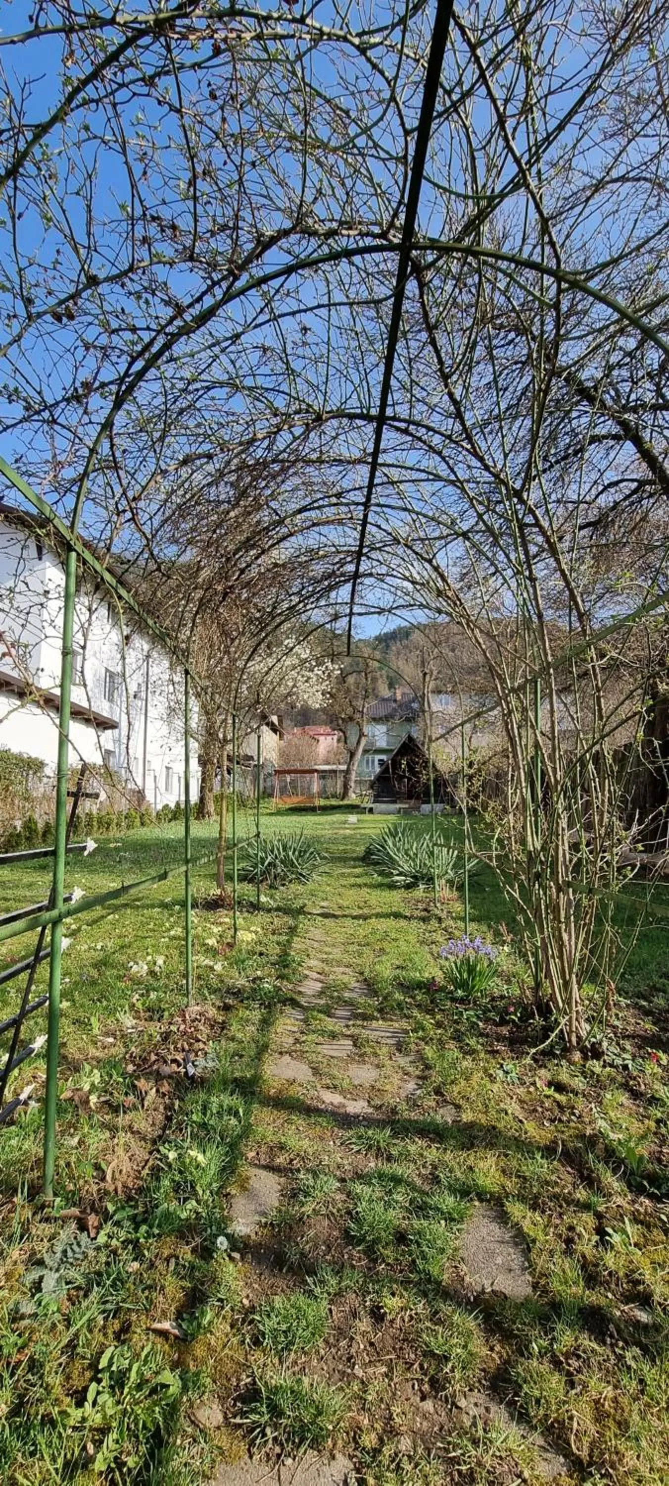 Natural landscape in Happy Mood Apartments