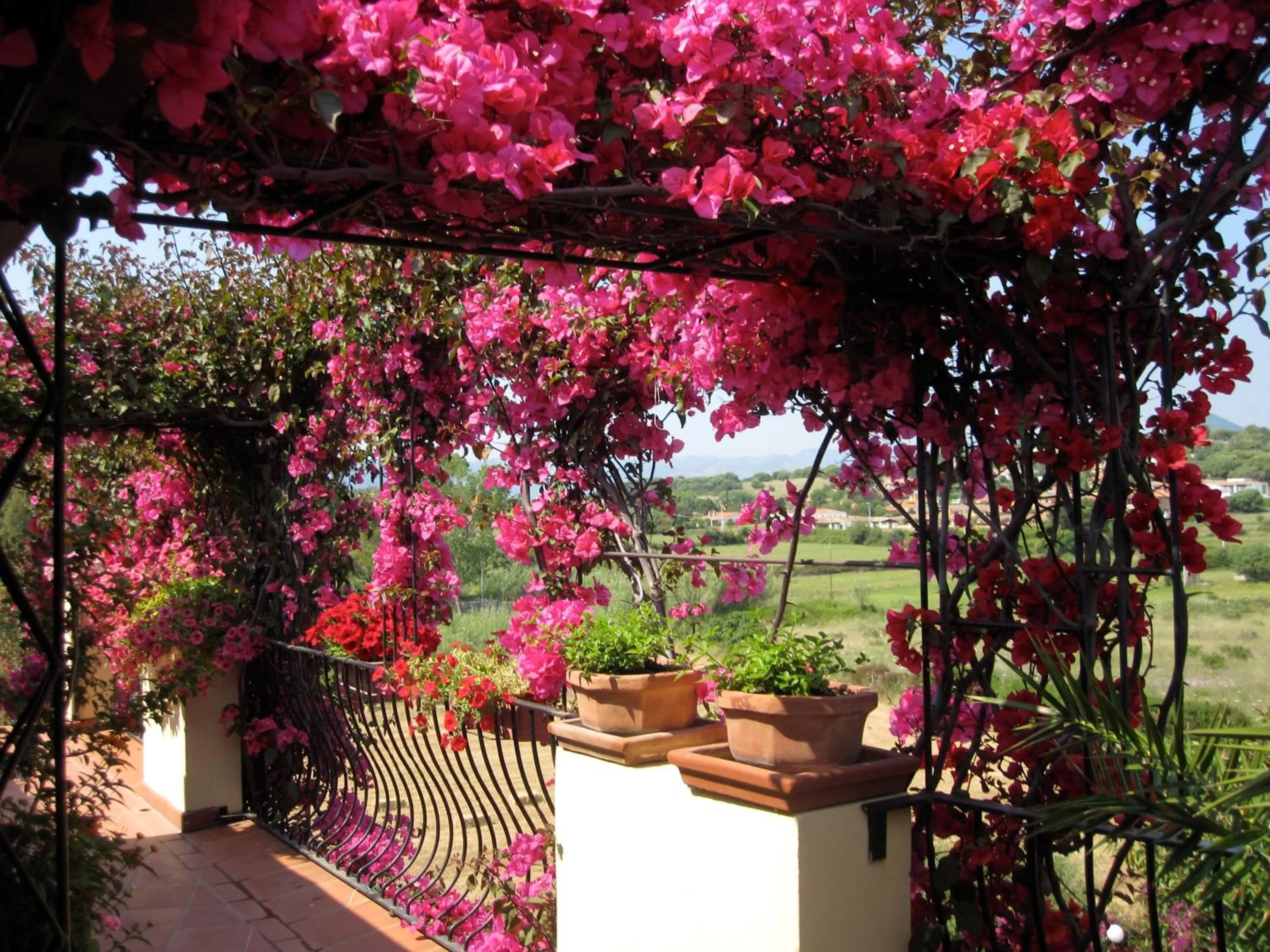 View (from property/room) in Domus De Janas Sul Mare