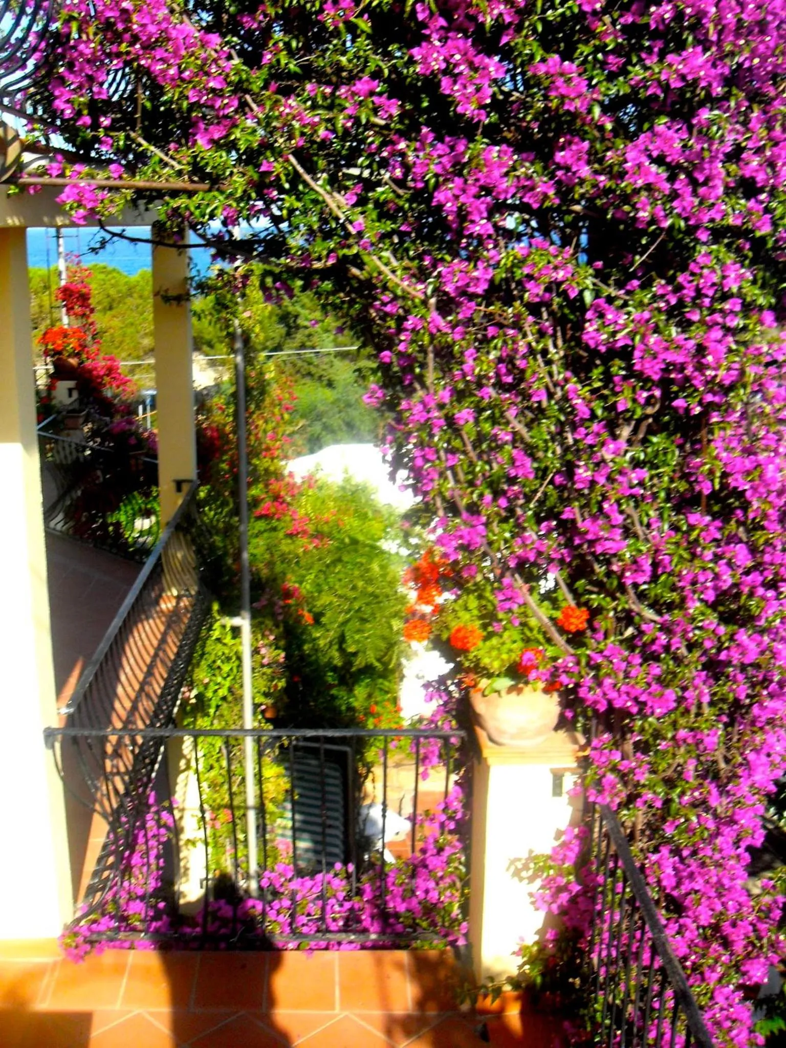 Balcony/Terrace in Domus De Janas Sul Mare