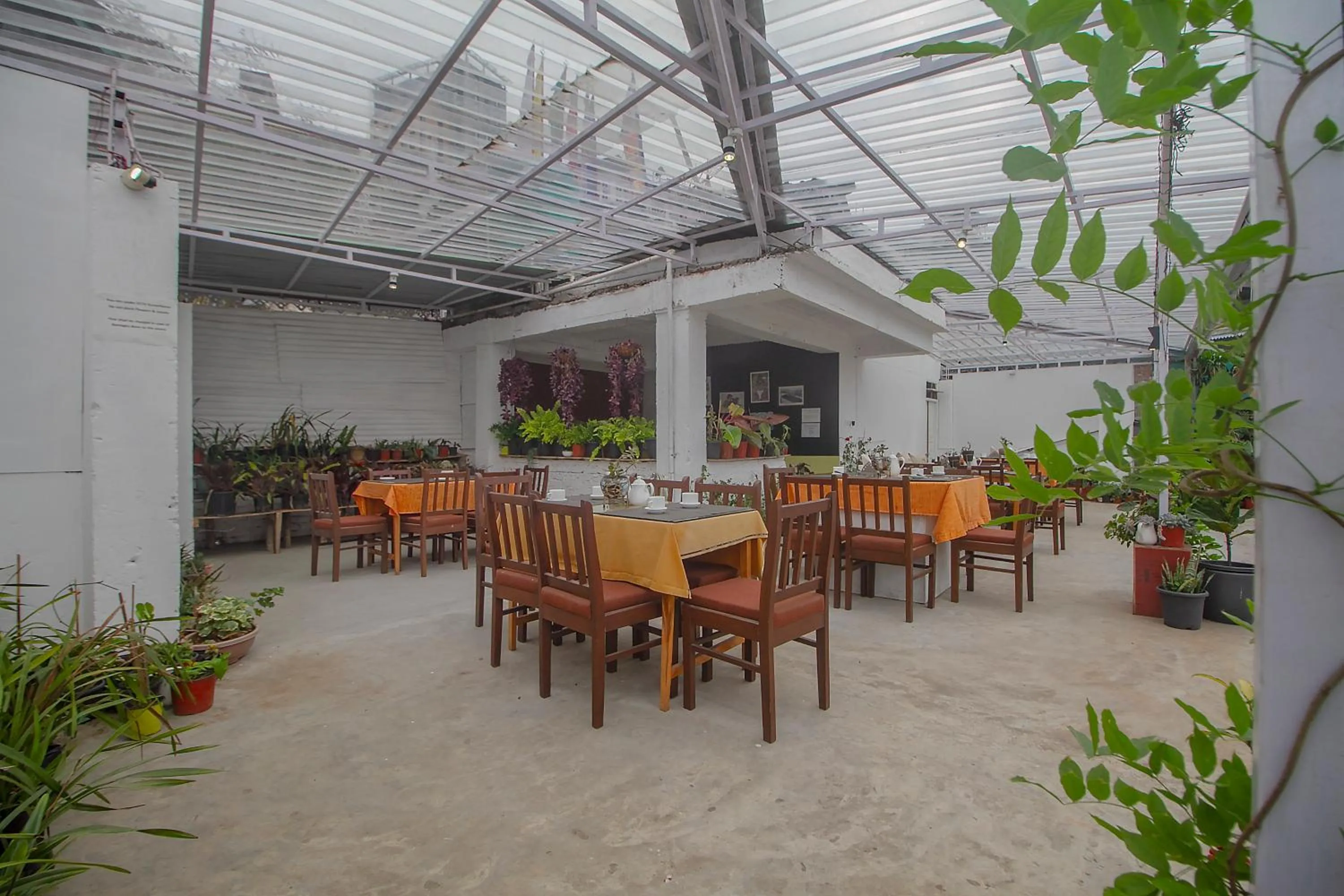 Patio in Palri Boutique Hotel