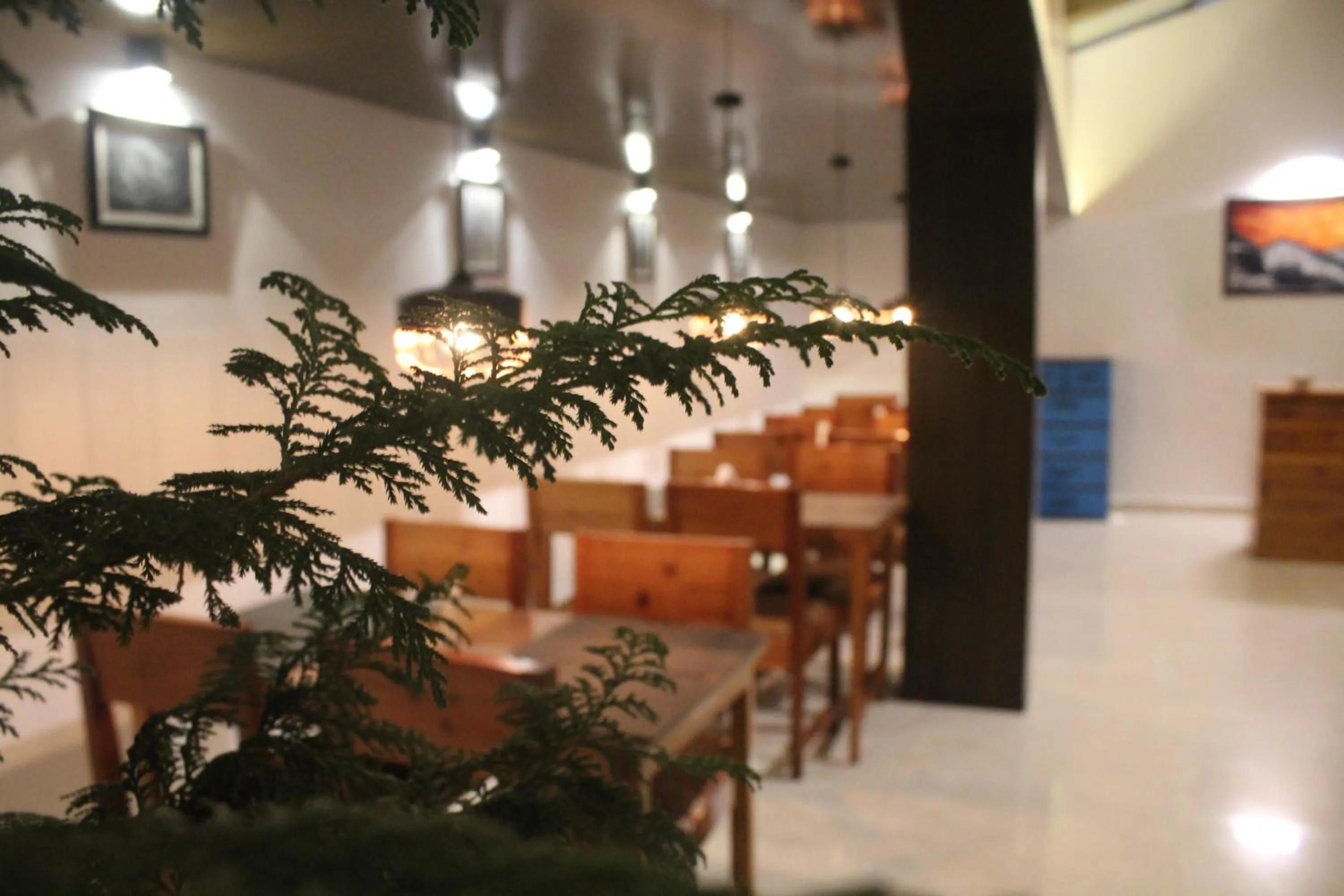 Restaurant/places to eat in Palri Boutique Hotel