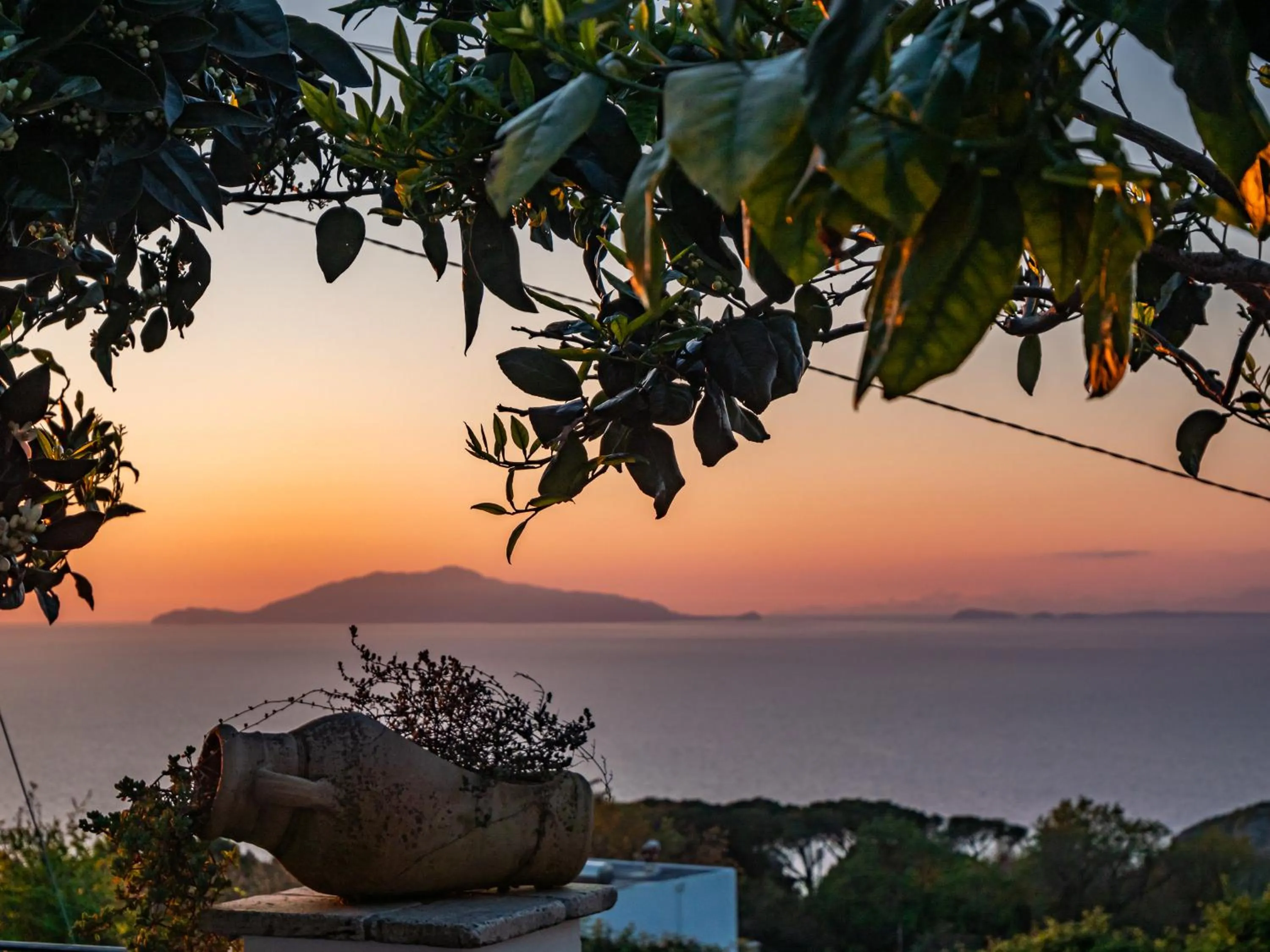 Natural landscape in Casa Astra