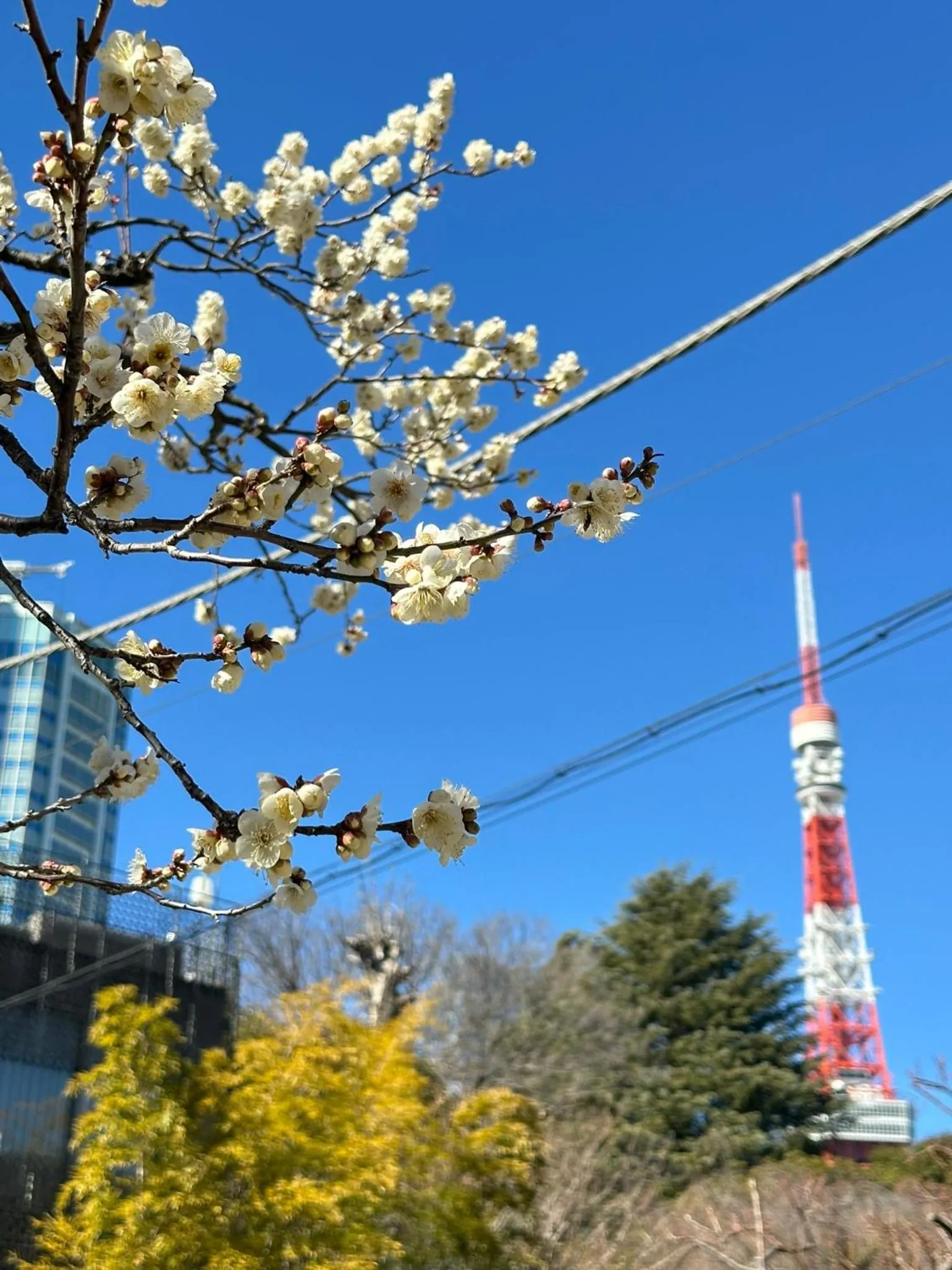 Nearby landmark in Rose Stay Tokyo Shiba Park