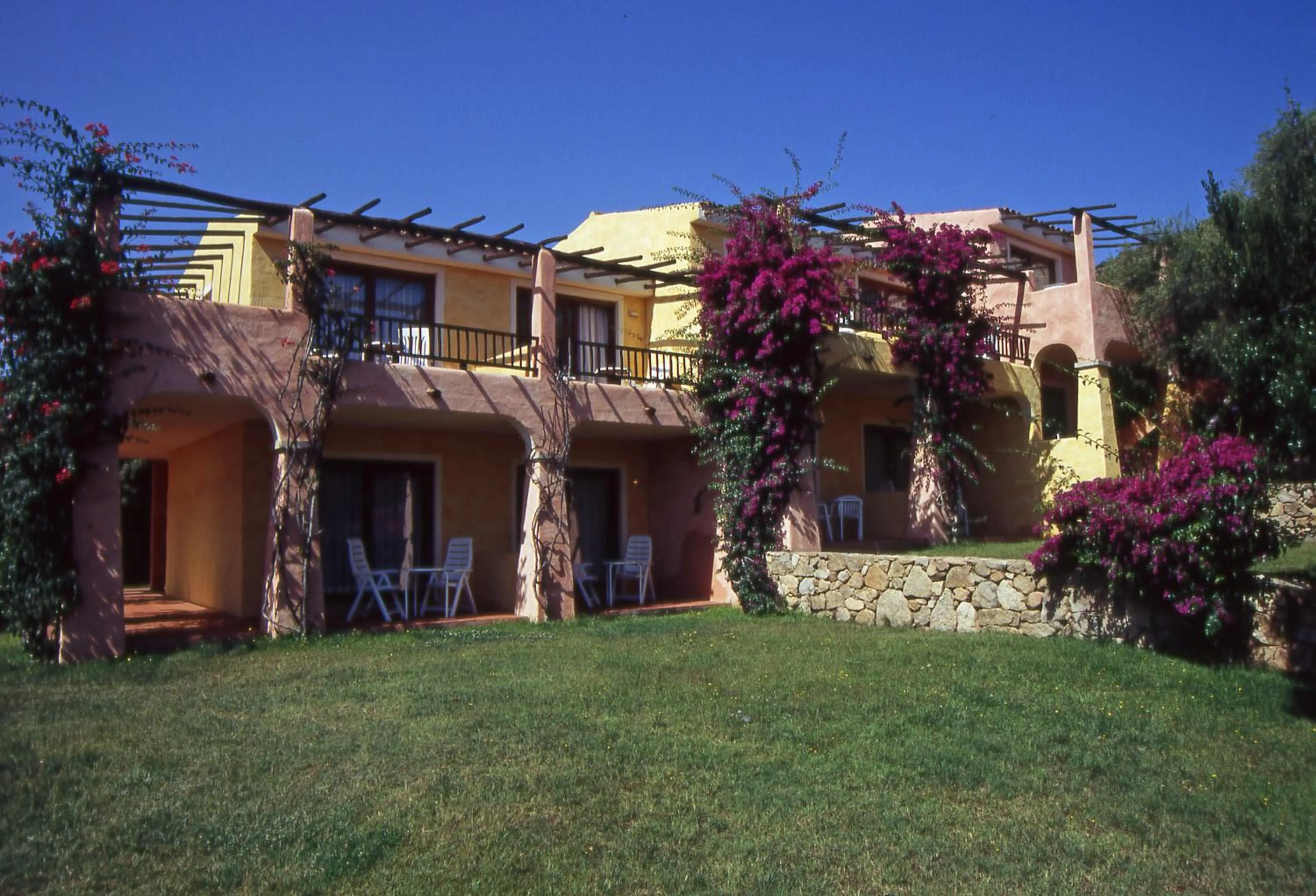 Garden in Hotel Stelle Marine