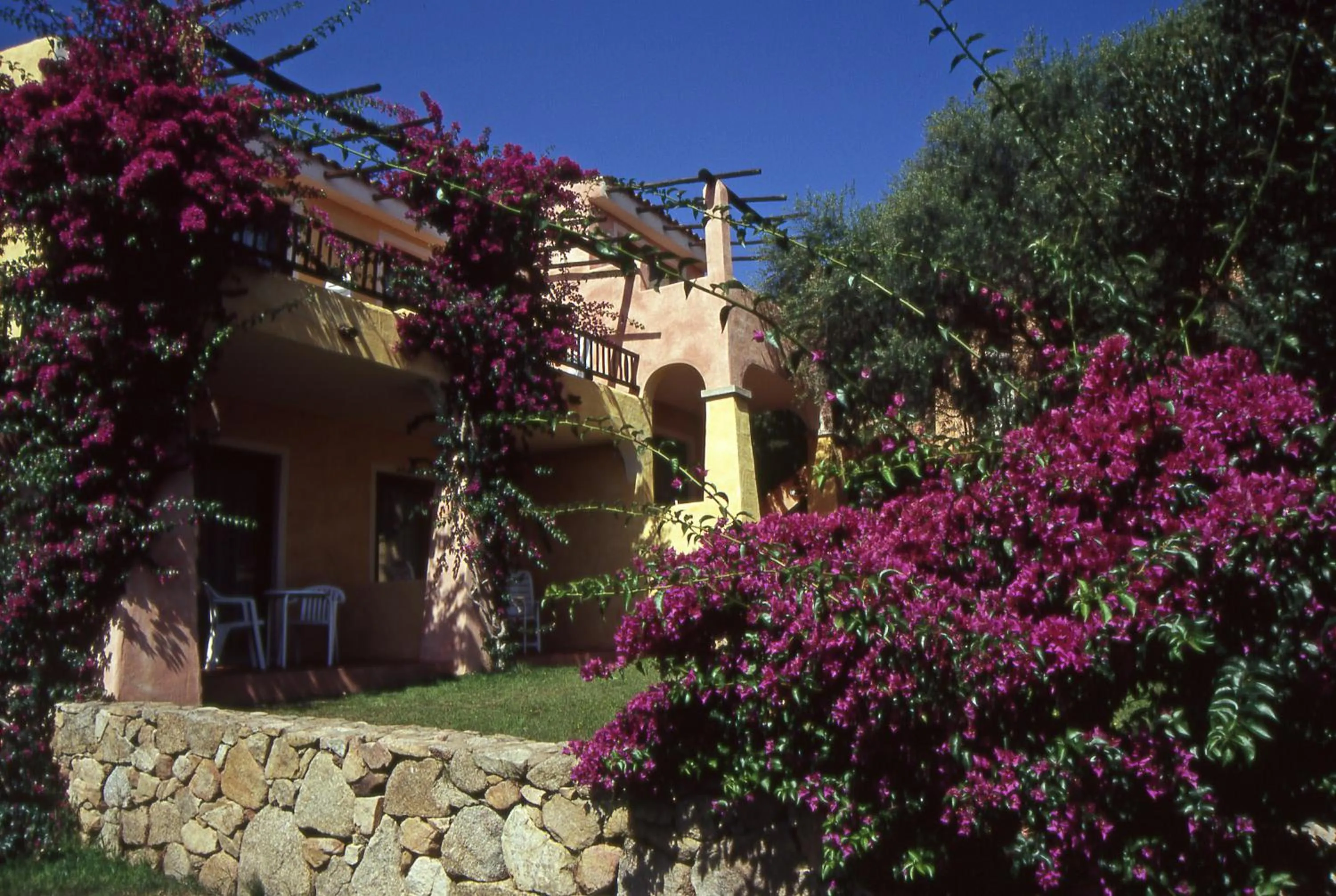 Garden in Hotel Stelle Marine