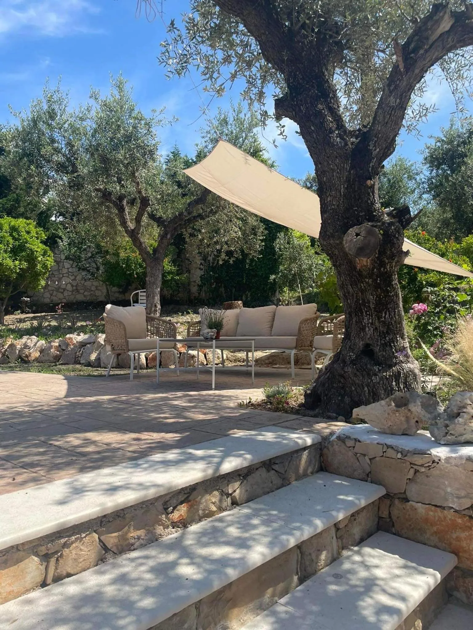 Swimming pool in Nissi Collection Rooms