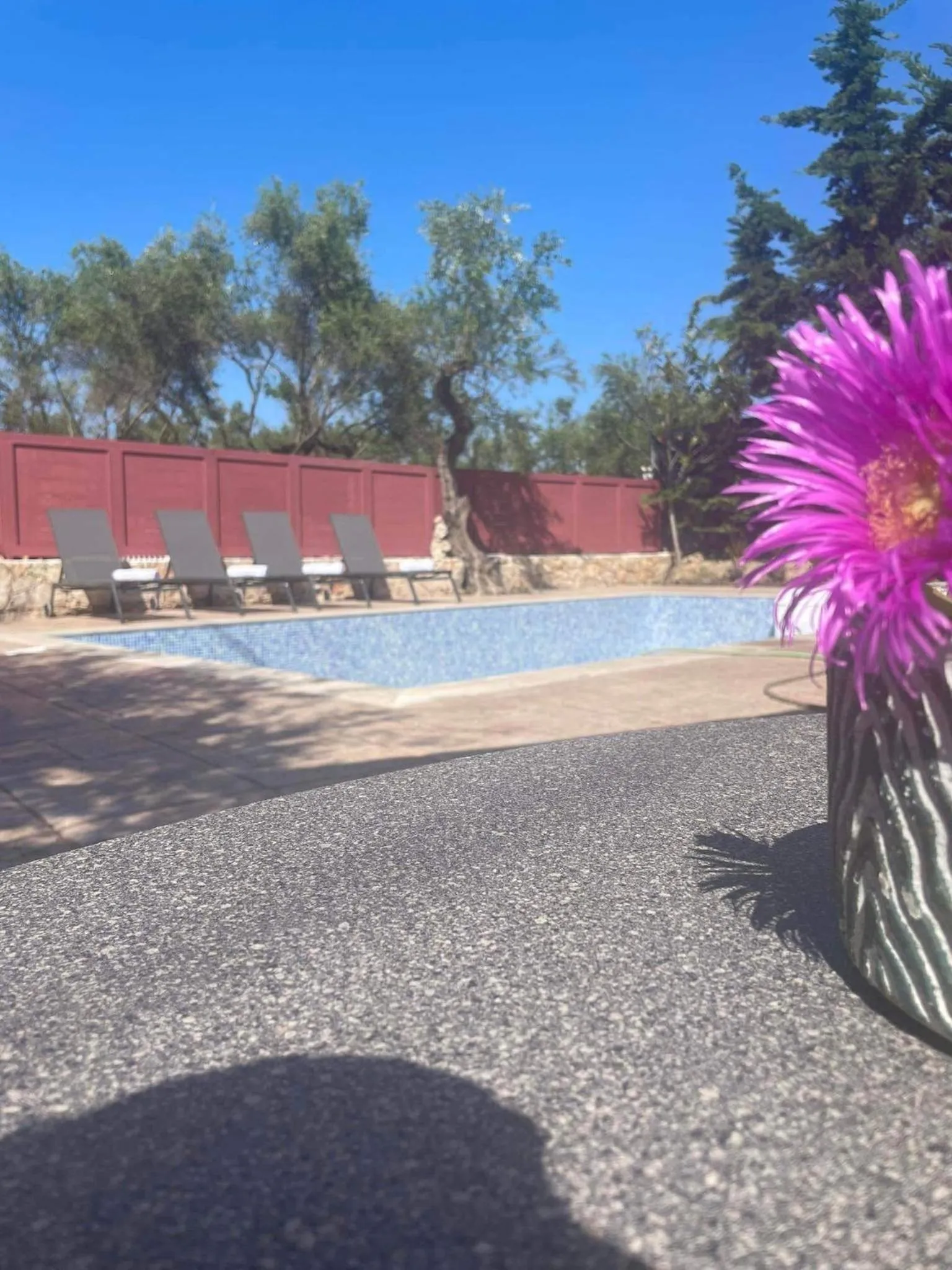 Nissi Collection Rooms