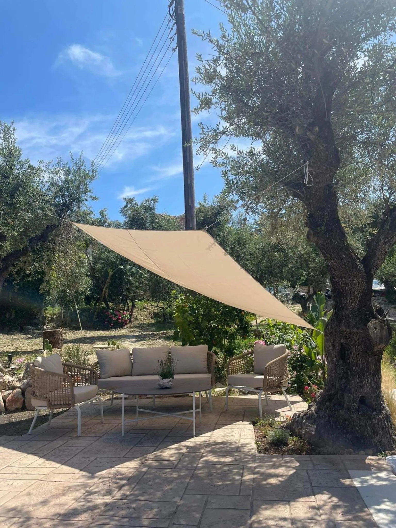 Swimming pool in Nissi Collection Rooms