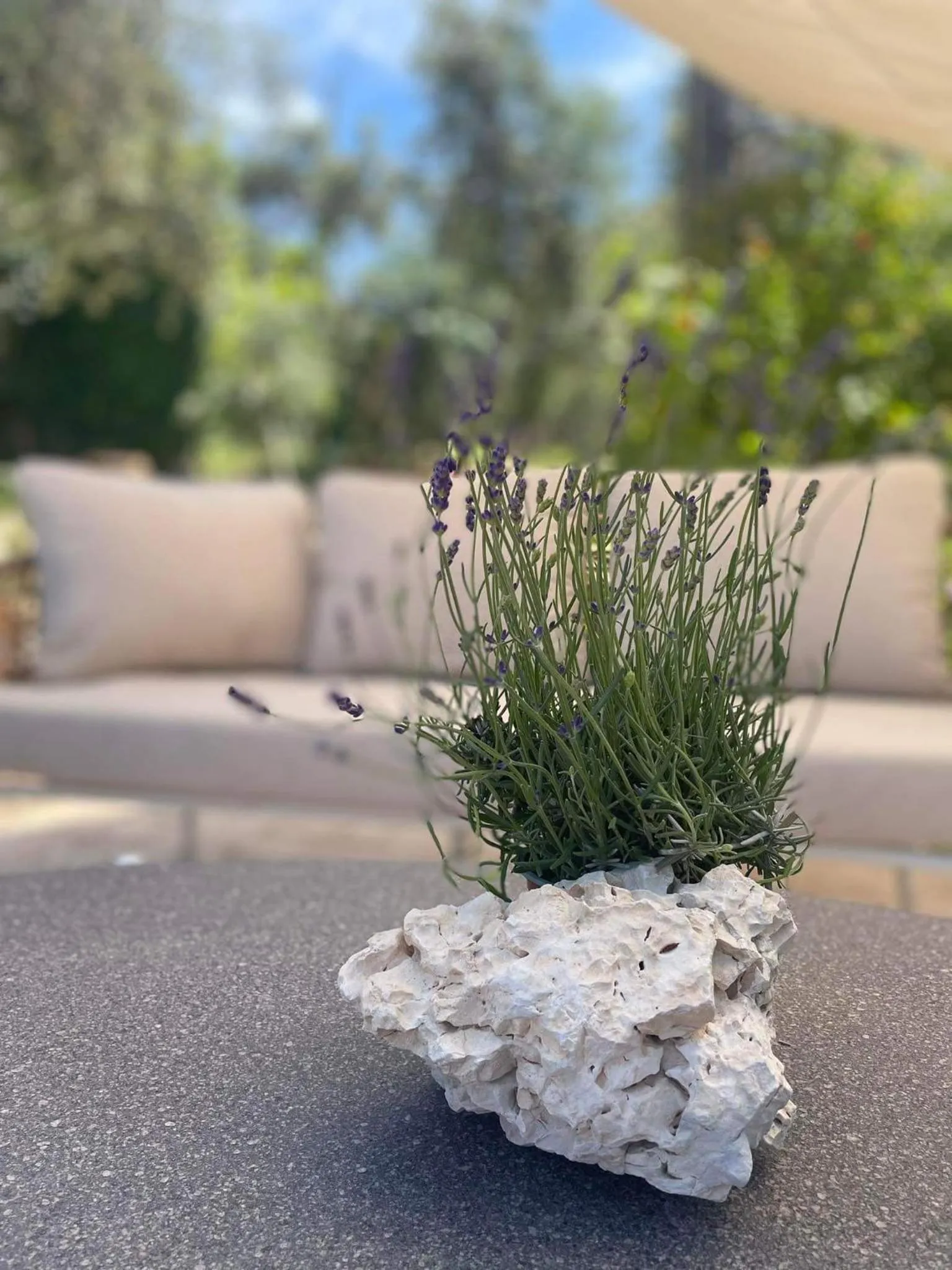 Nissi Collection Rooms